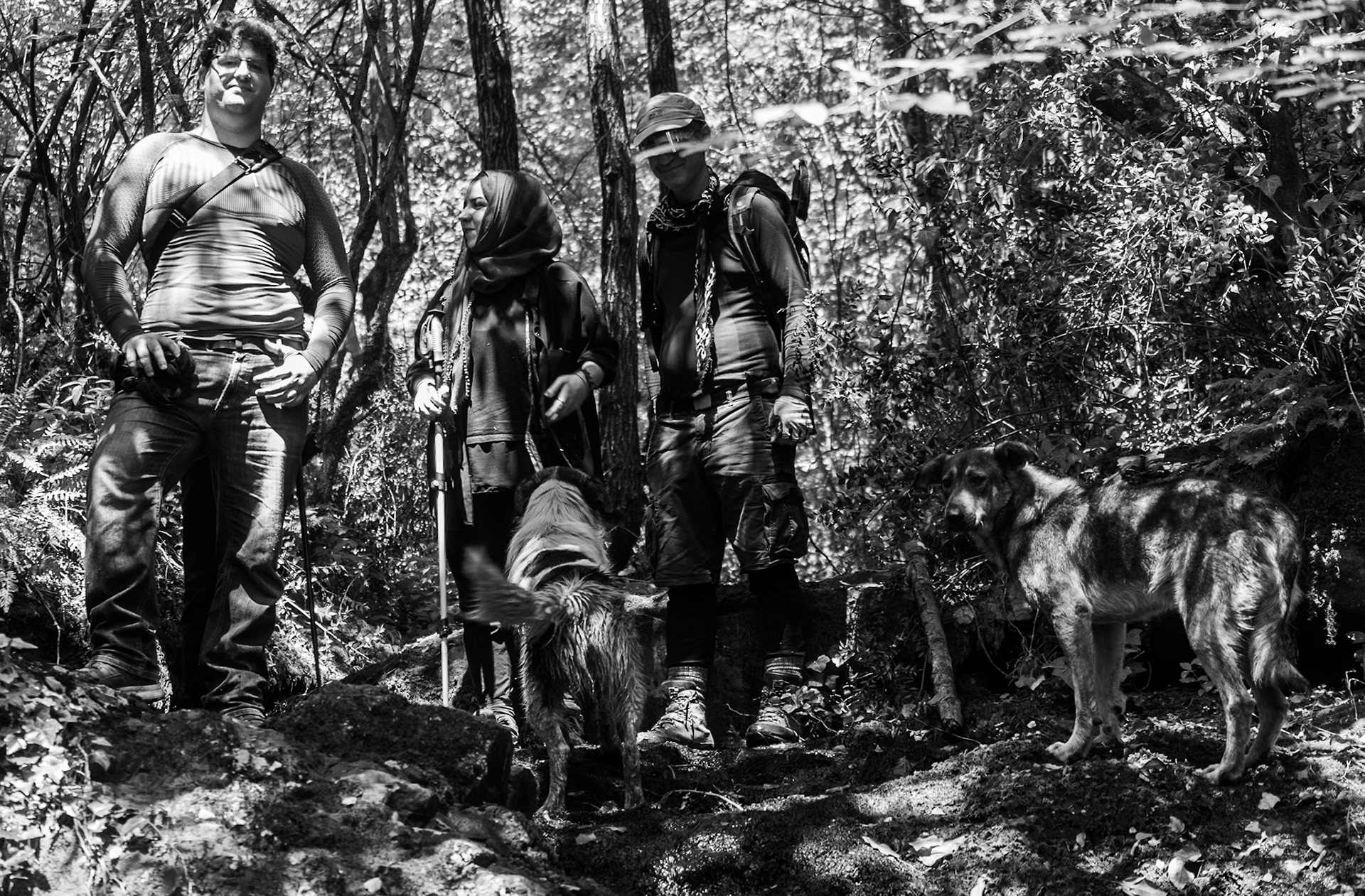 Kılıçlı southeastern stream walk: hickers and daydogs