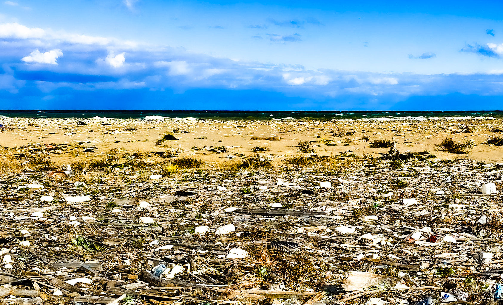 Black Sea coast east of Yeniköy: tons of flotsam