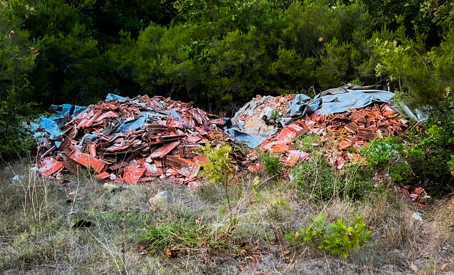 Riva southwestern forest: rubble dump
