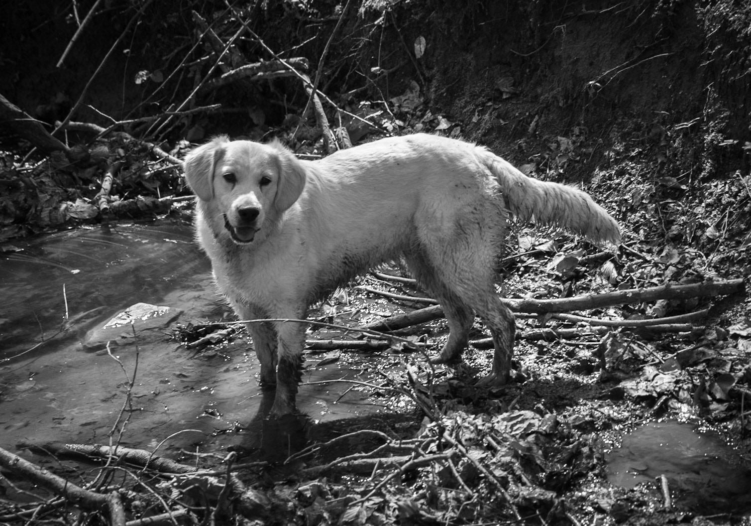 Zerzevat stream valley: Lucia decorates her coat