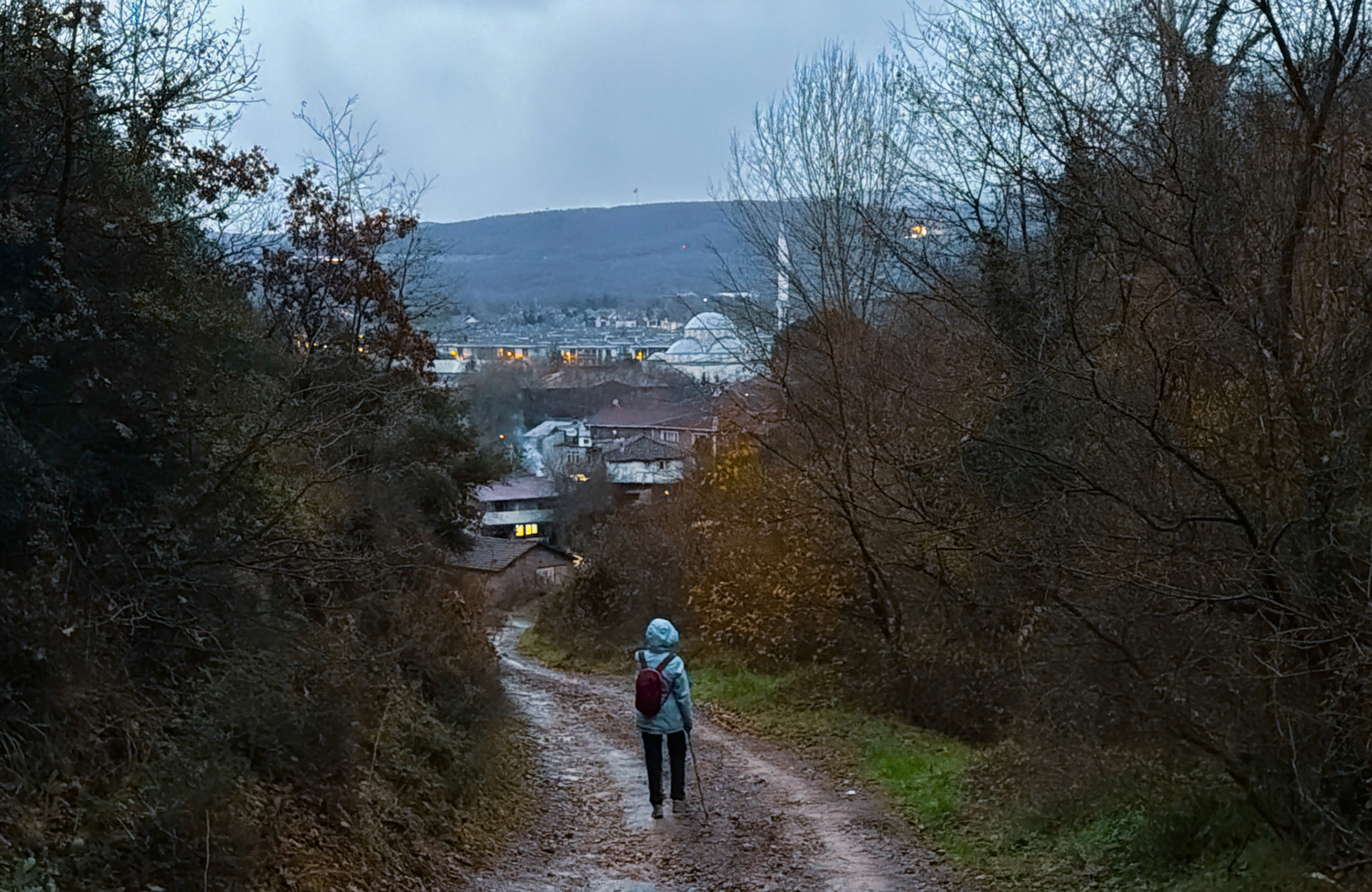 Sırıpınar northwestern woods: leaving the woods / entering the village (horribly uniform and disconnected new housing estate visible beyond the mosque)