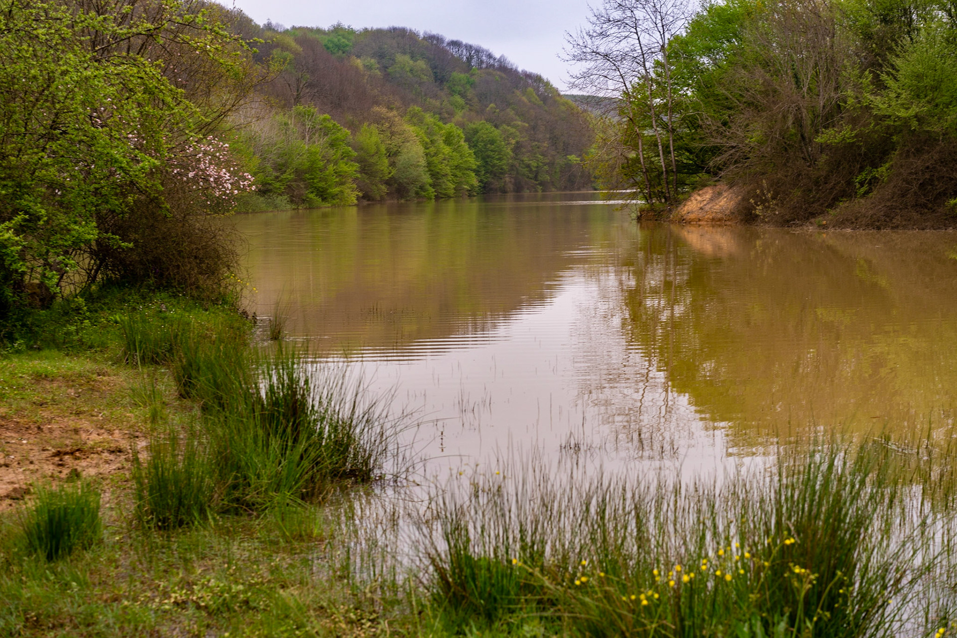 Deǧirmen reservoir: muddy waters