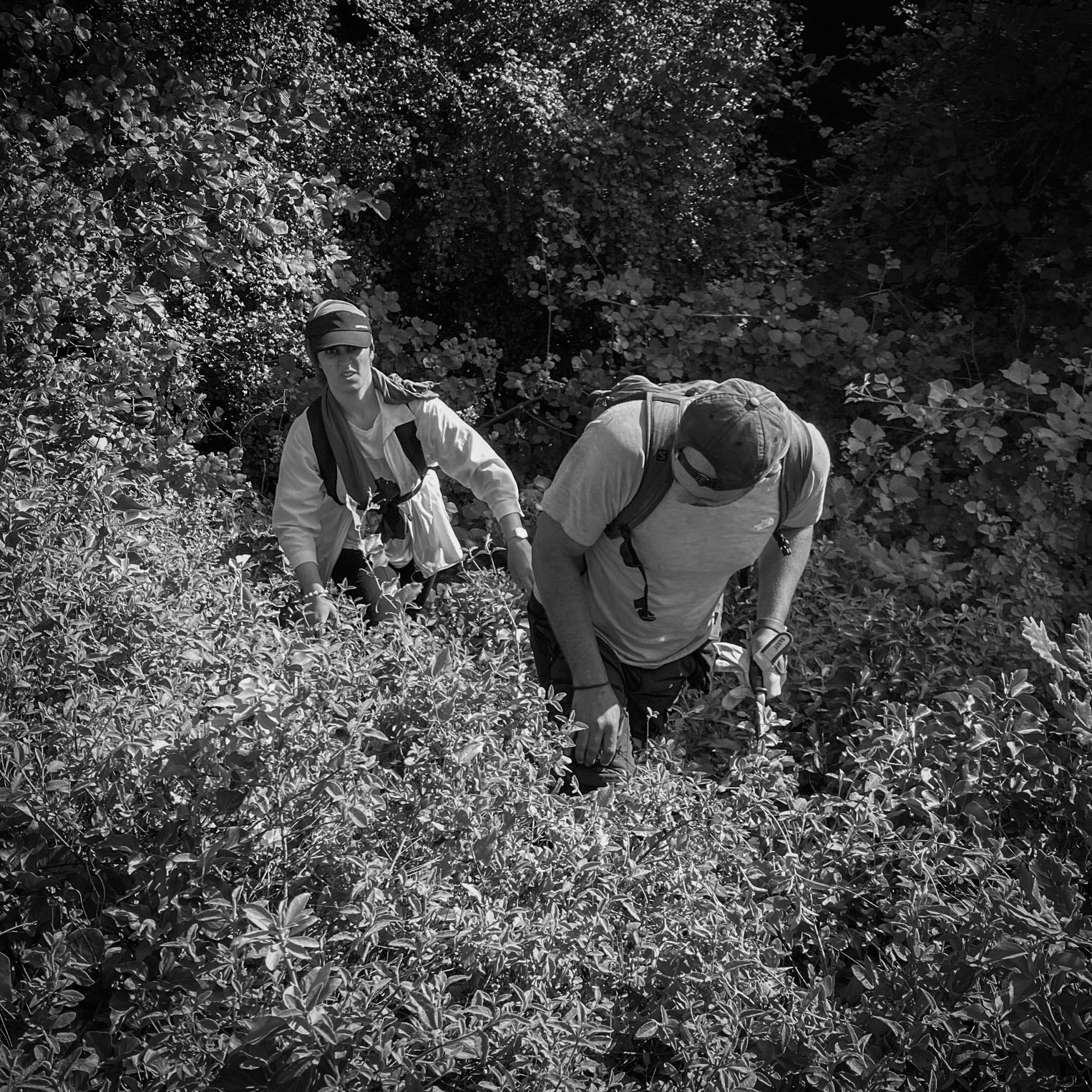 Kanlı reservoir: climbing up a rise