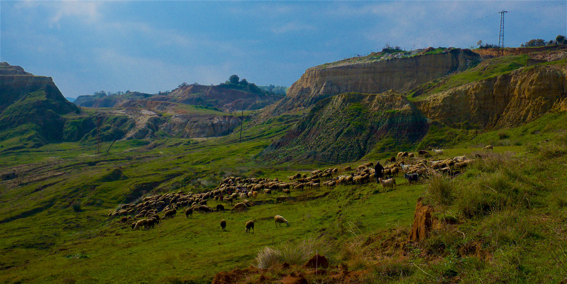 Yeniköy - old mine-workings and a herd of sheep