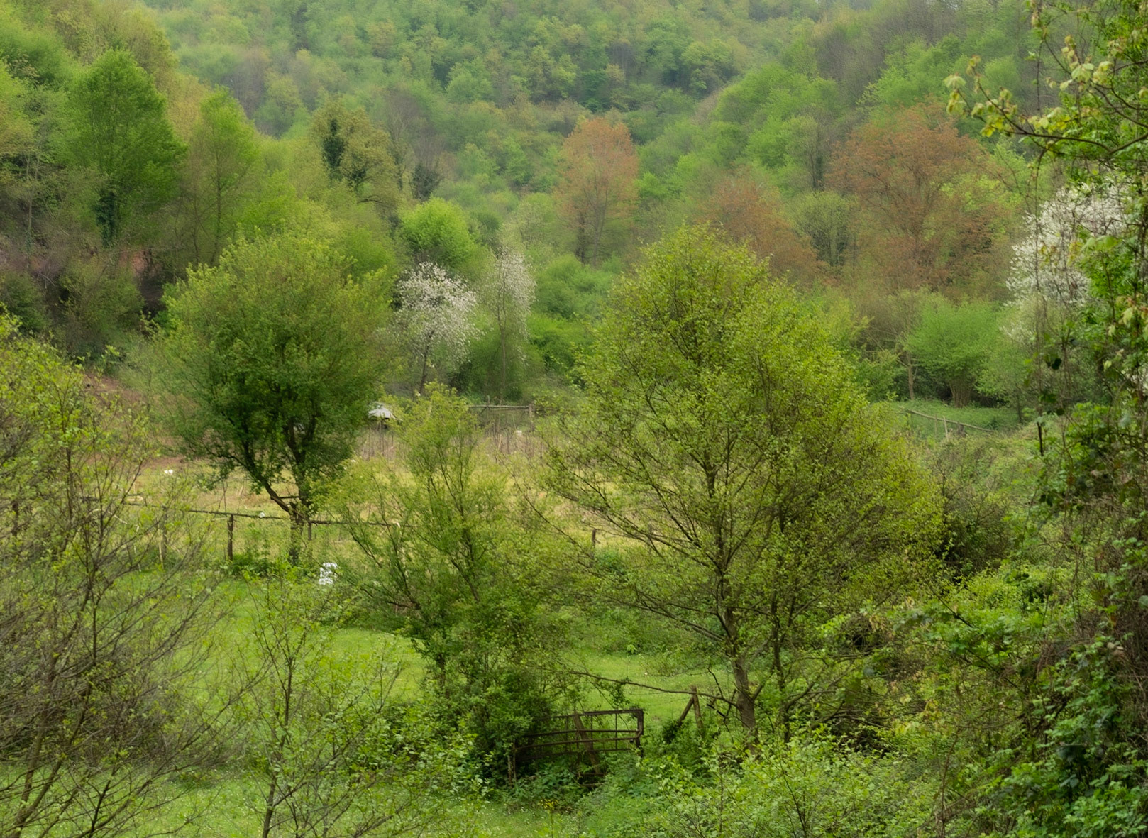 between Bozhane and Kılıçlı Köyü: spring landscape