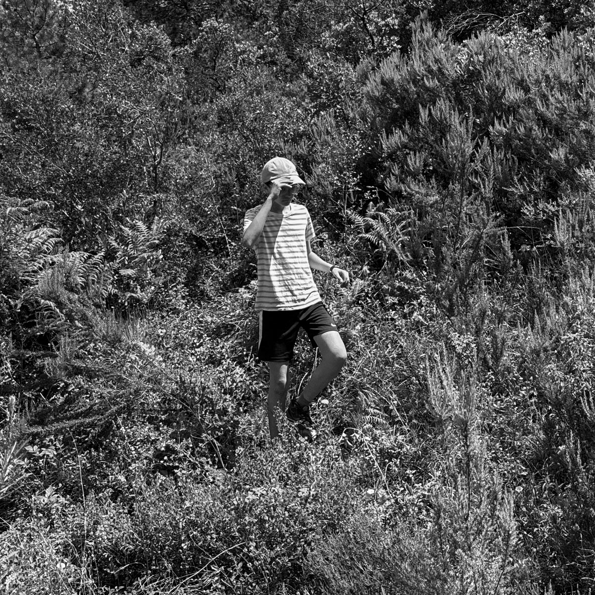 Baklacı southern hill: coming up