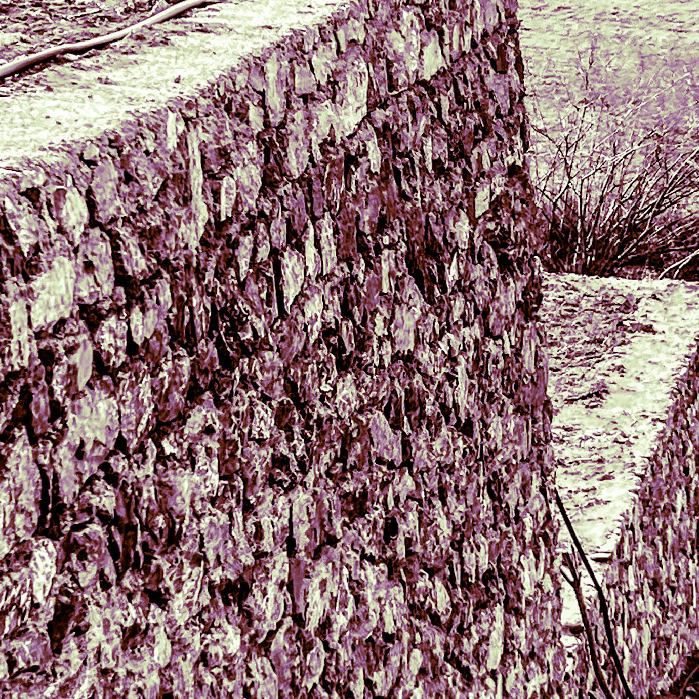 between Yom crest and Riva abandoned military installations: the new terraces