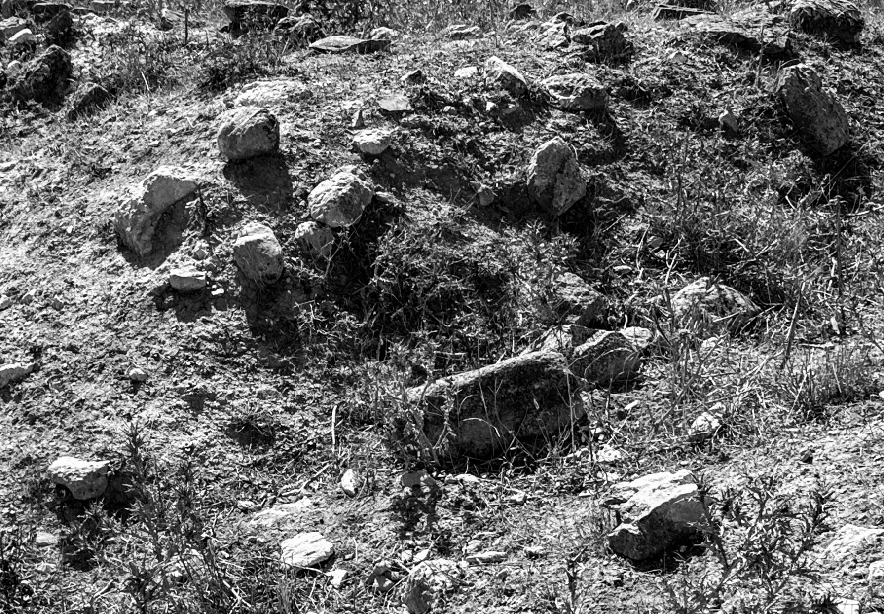 Spradon: possible ancient masonery (?)