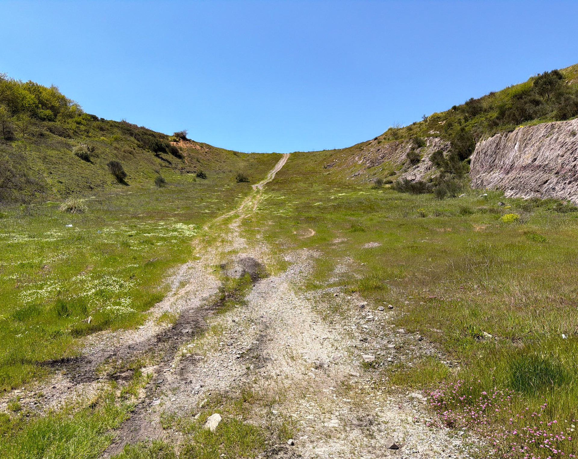 between Çayağız Deresi farm bridge and Hüseyinli southwestern forest: green slope