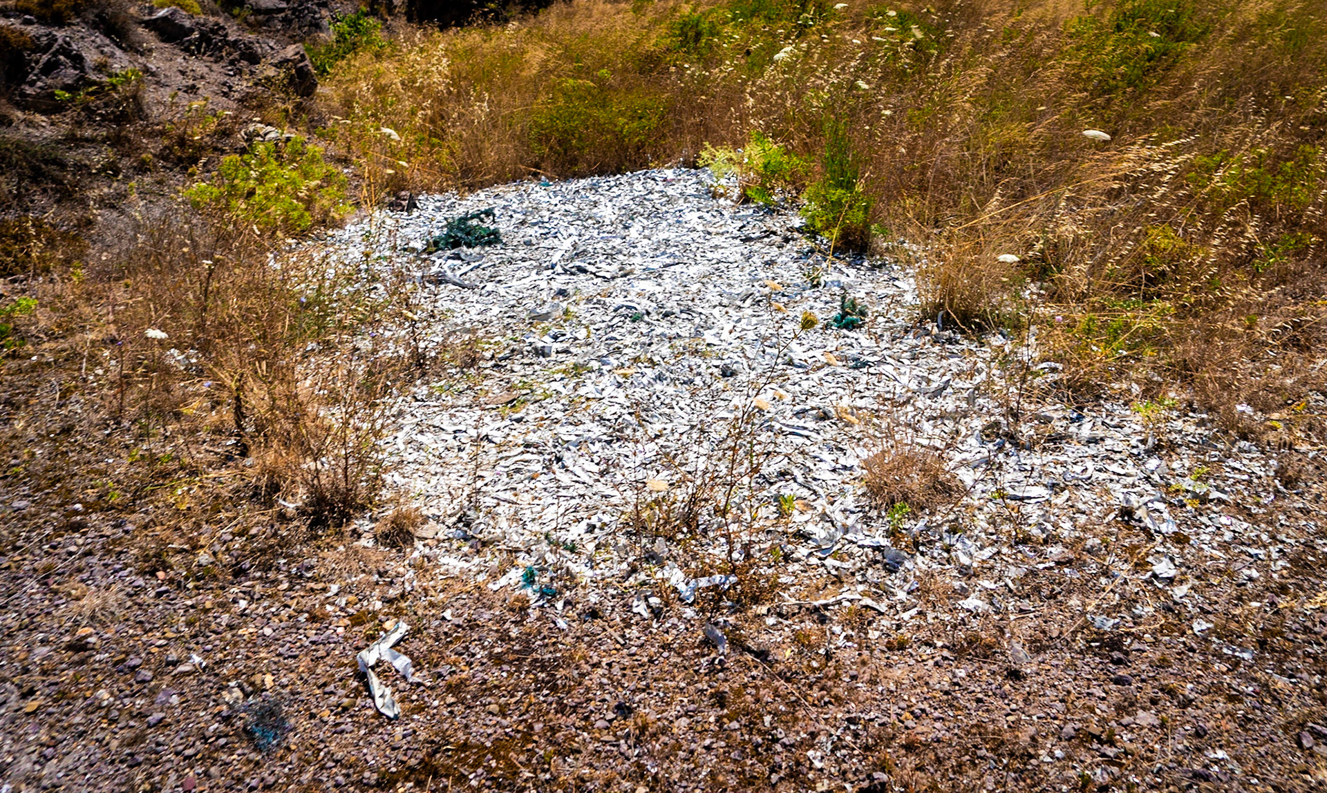 Başıbüyük wasteland: waste