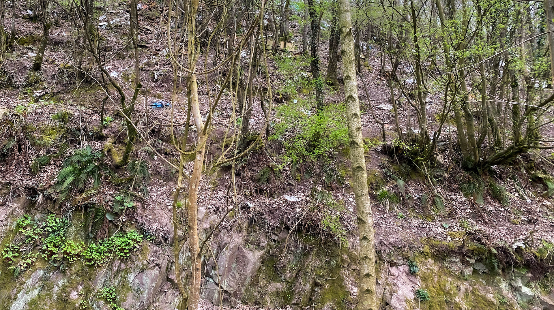 Mahmut Şevket Paşa: badly-littered slope