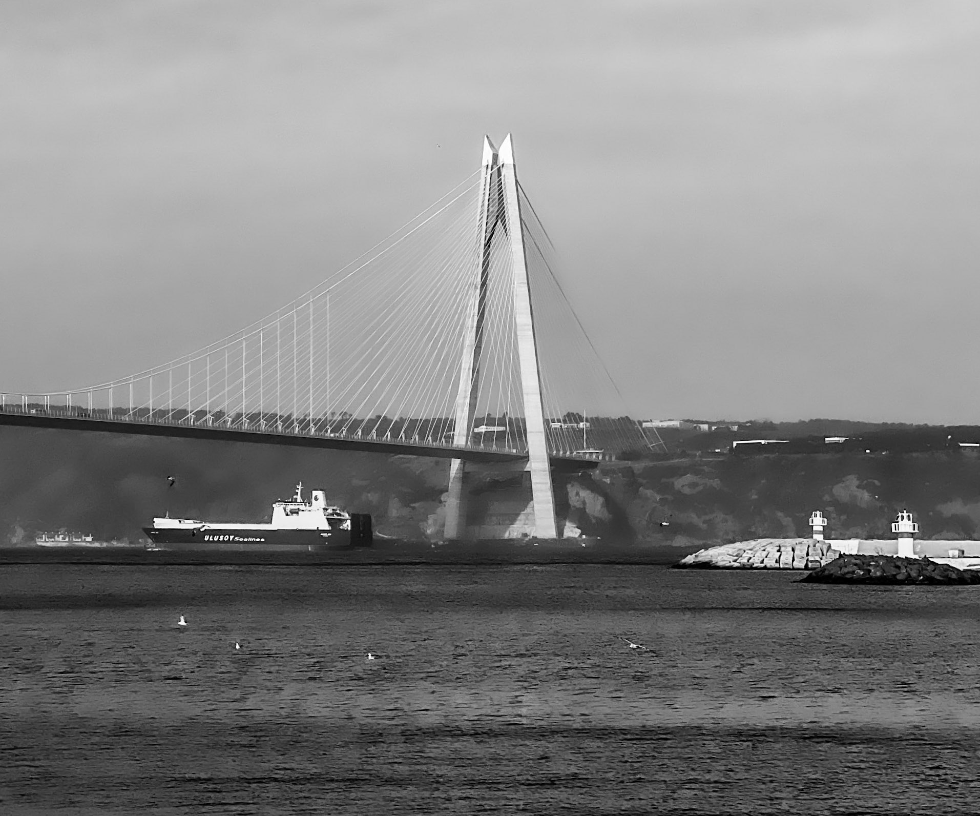 Poyraz harbour: the Bosphorus and 3rd bridge looking south