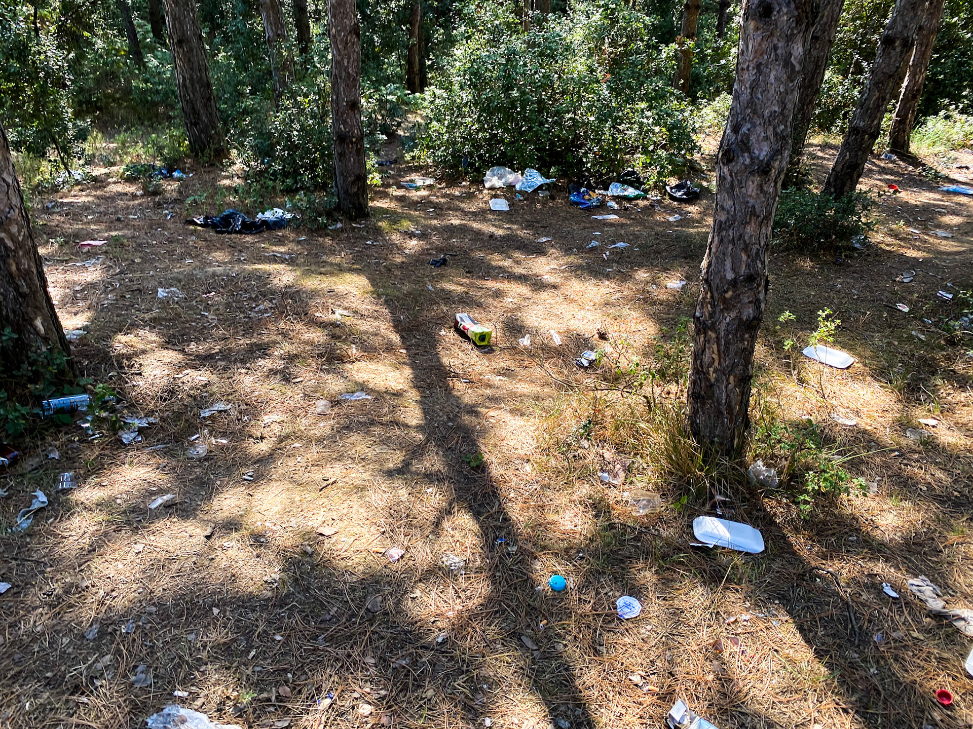 between Güzelce aqueduct &amp; Alibey dam: litter