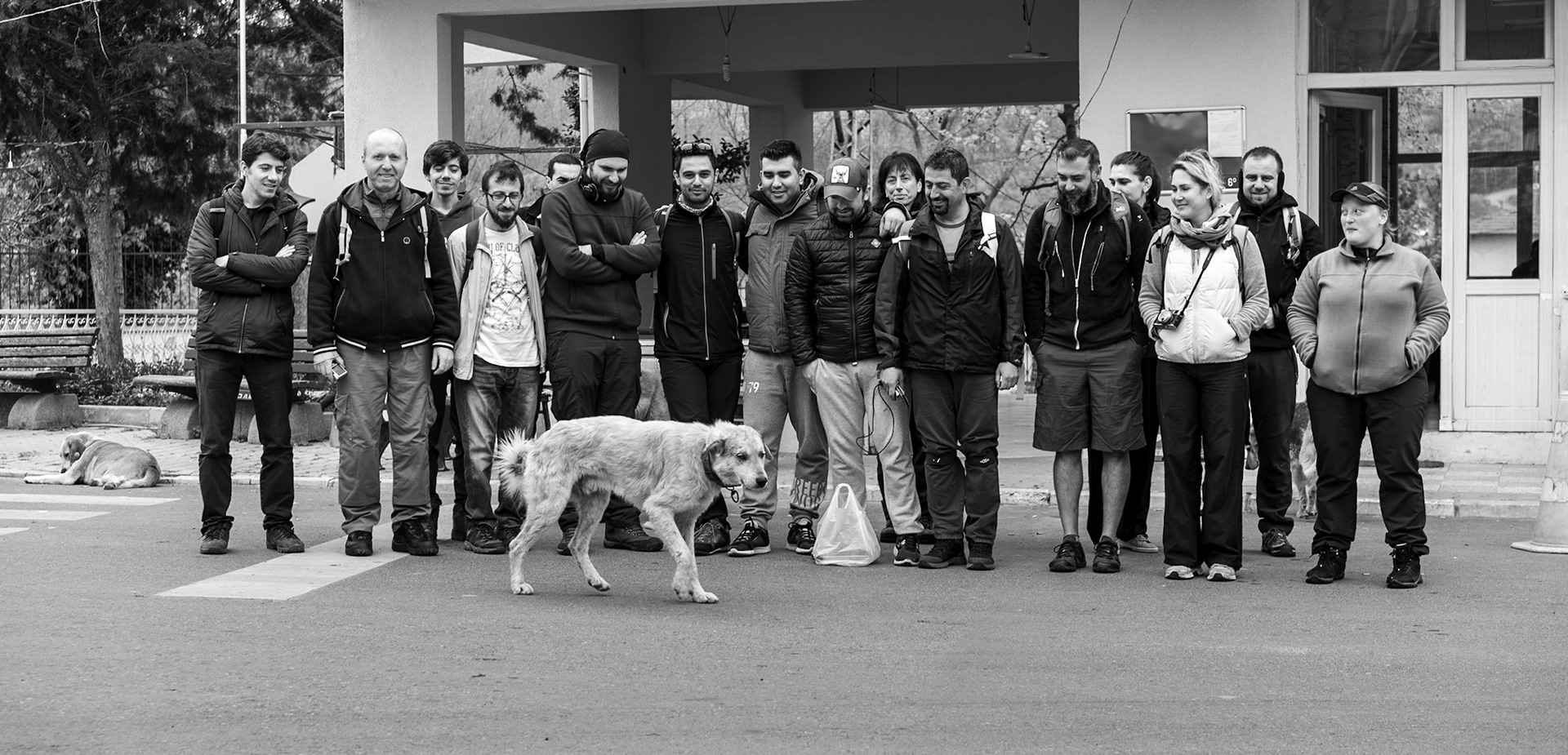 Bozhane: a big group today, plus a day-dog at the ready