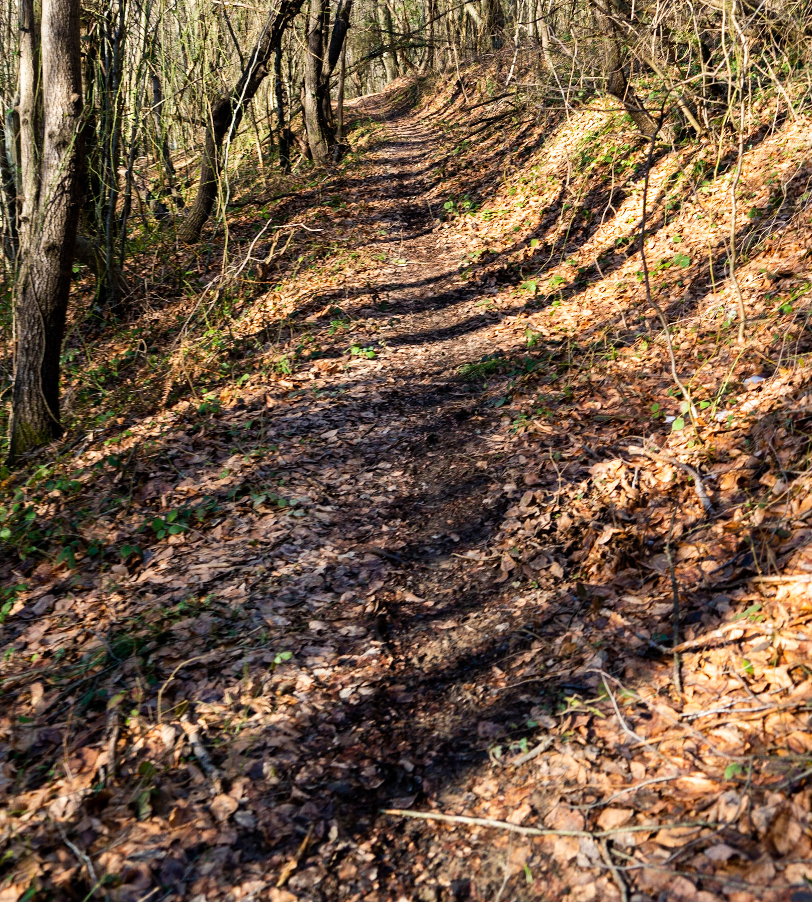 between Cumhuriyet and Polonezköy: striped path