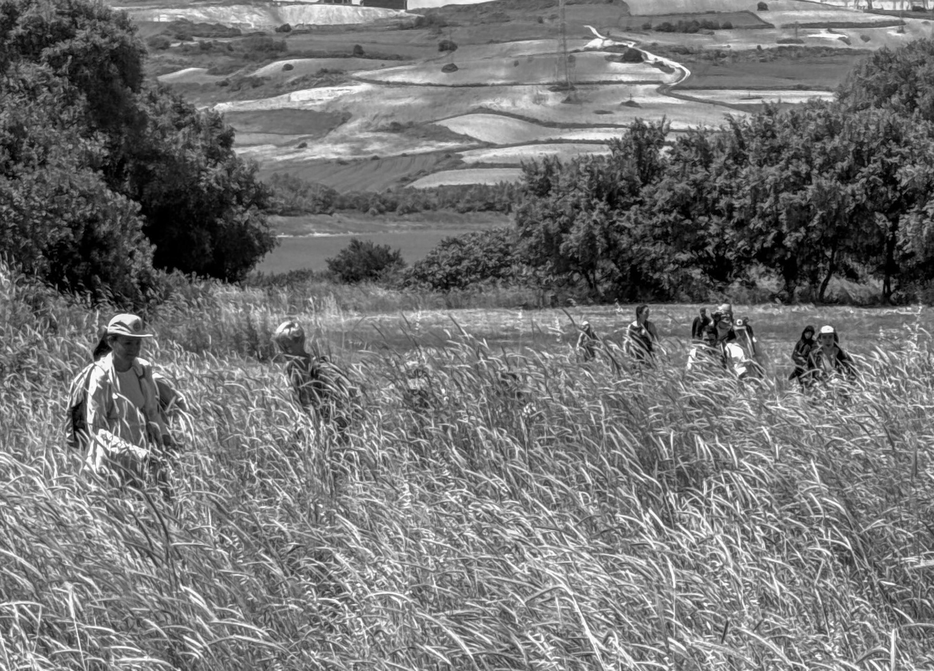 Filiboz ancient site: crossing a meadow