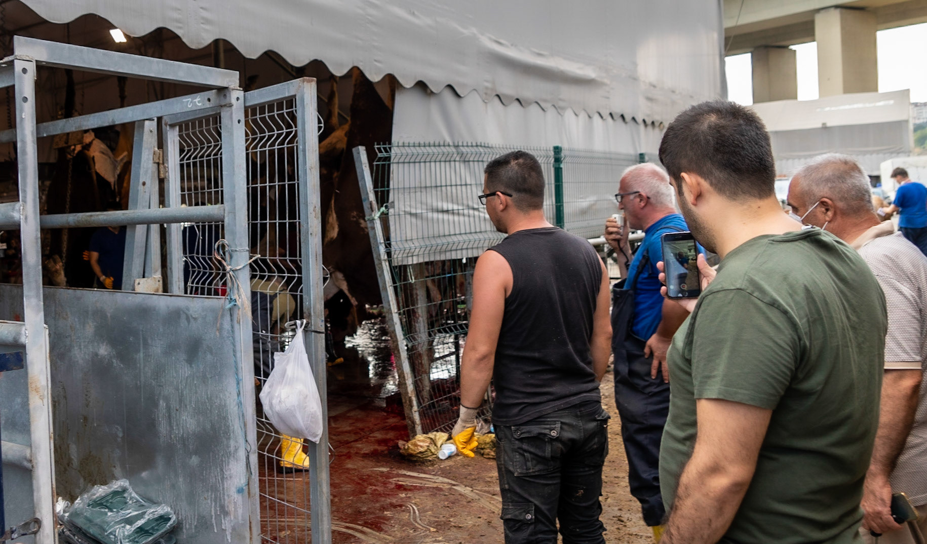 Alibeyköy Kurban Satış ve Kesim Alanı: the moment of slaughter