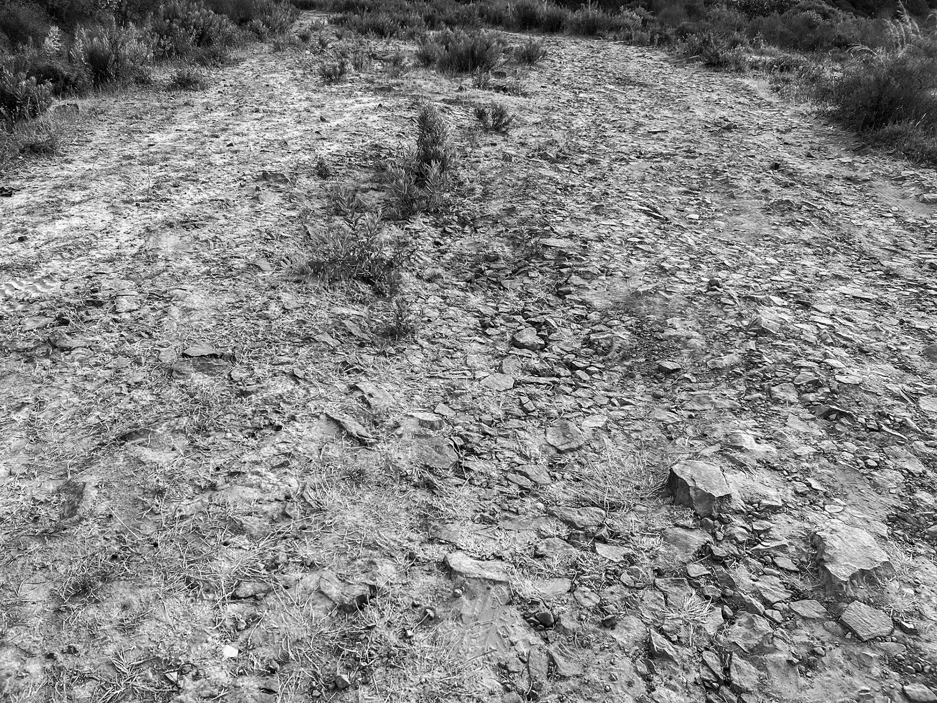 between the English Houses and Riva: an imagined Roman road