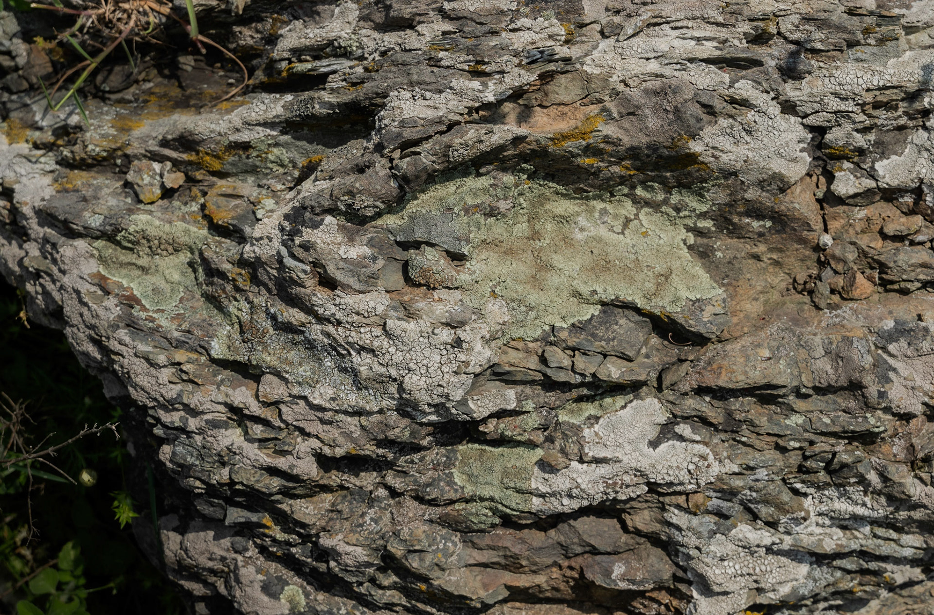 Şamlar gorge: lichened stone