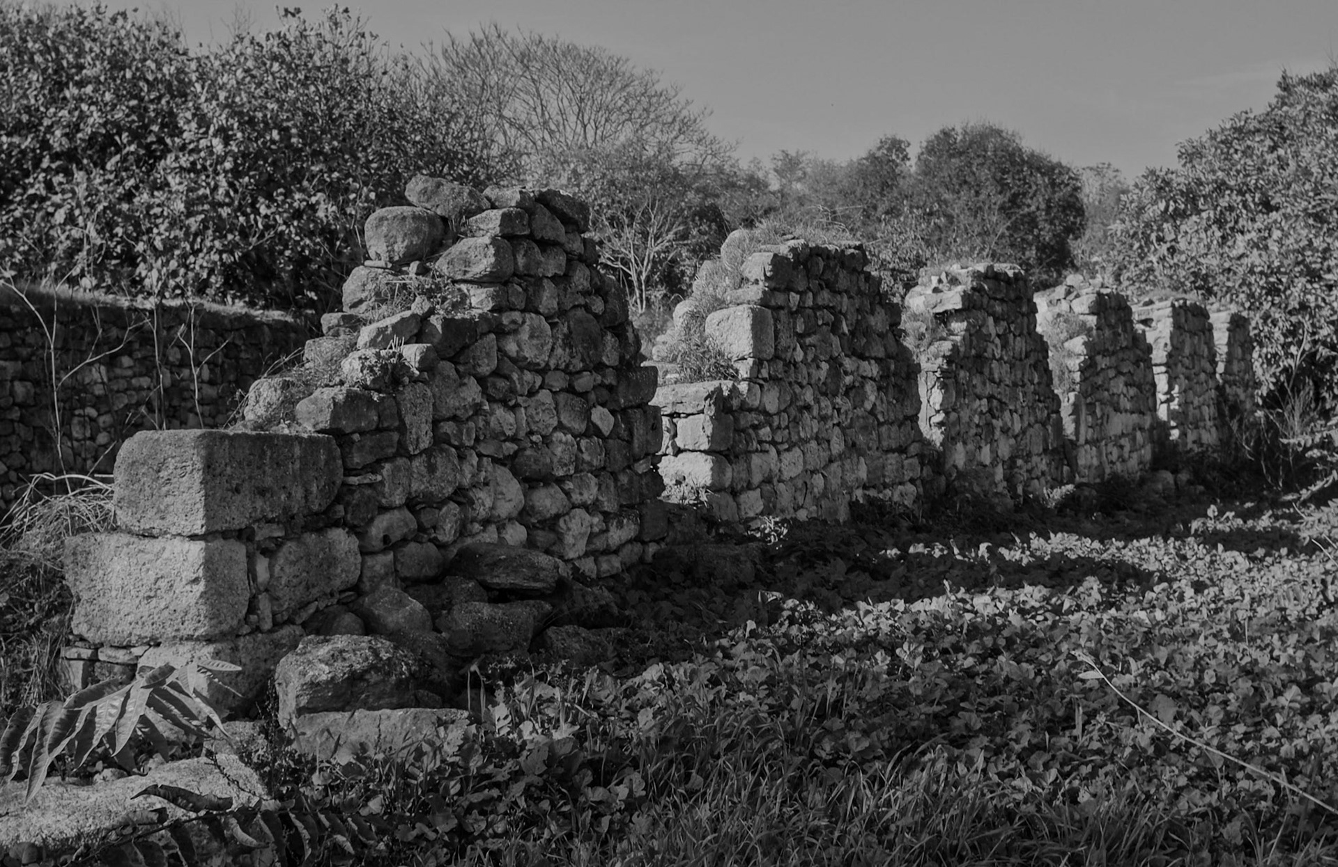 Bathonea south: corrugated wall