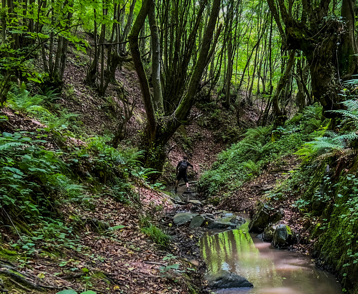 Zerzevatçı streamwalk: stream and hiker