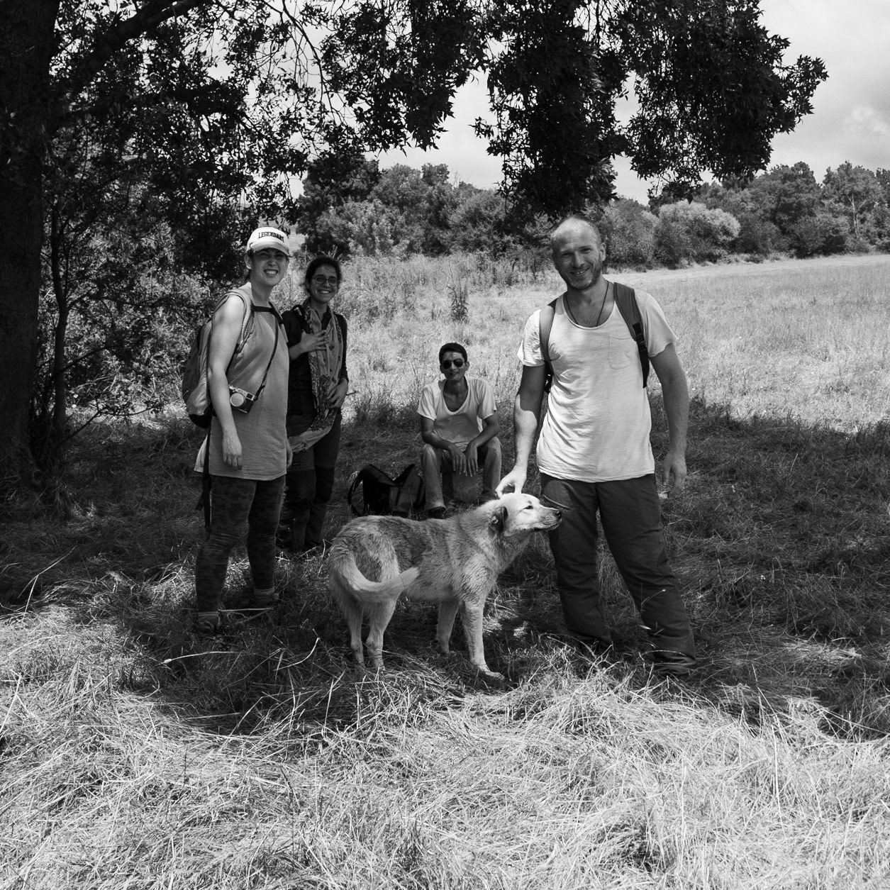Sazlıdere southern flower meadow: our party today