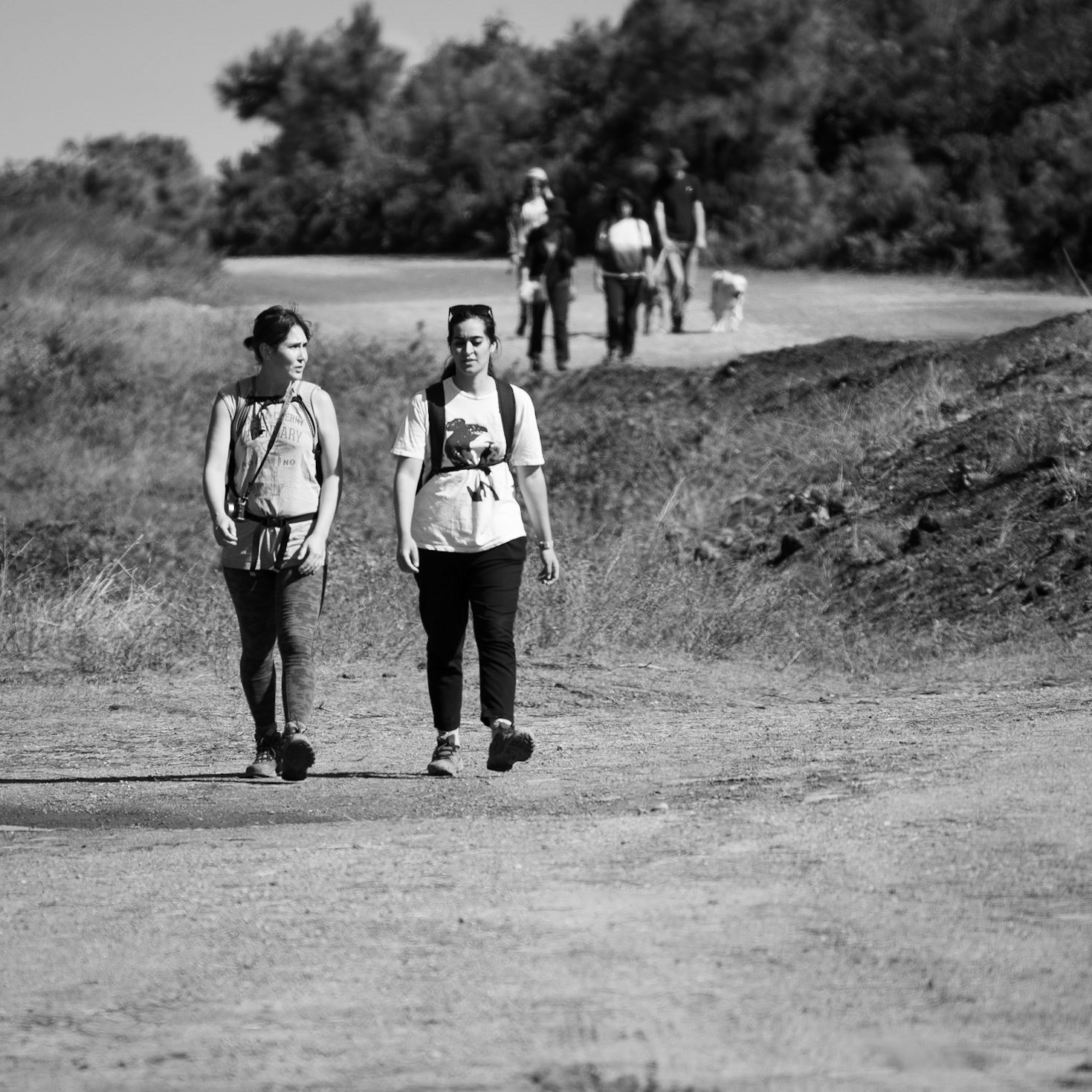 heading west along the line of the Black Sea: Tasha and Zeina