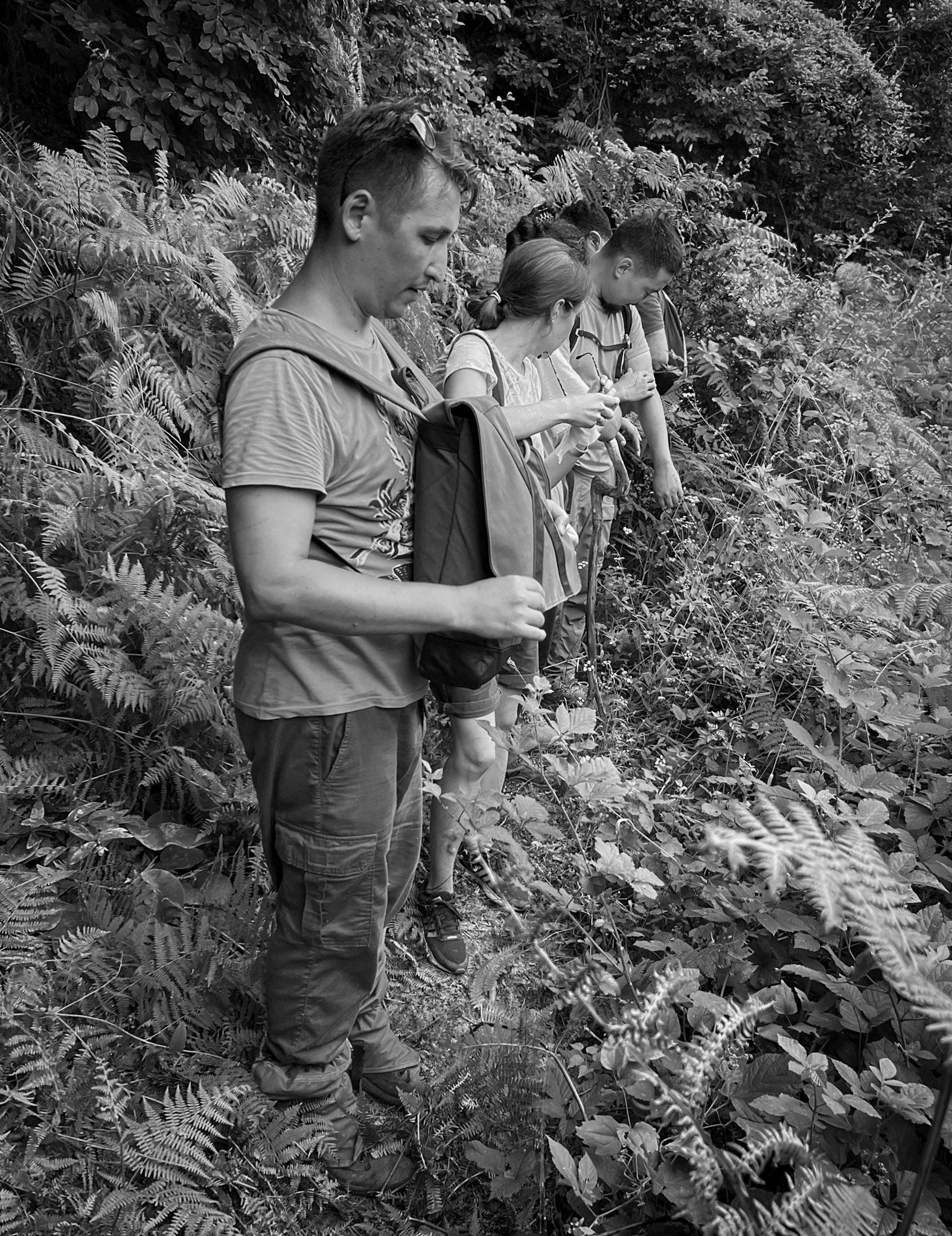 Kozlu valley: hikers take stock