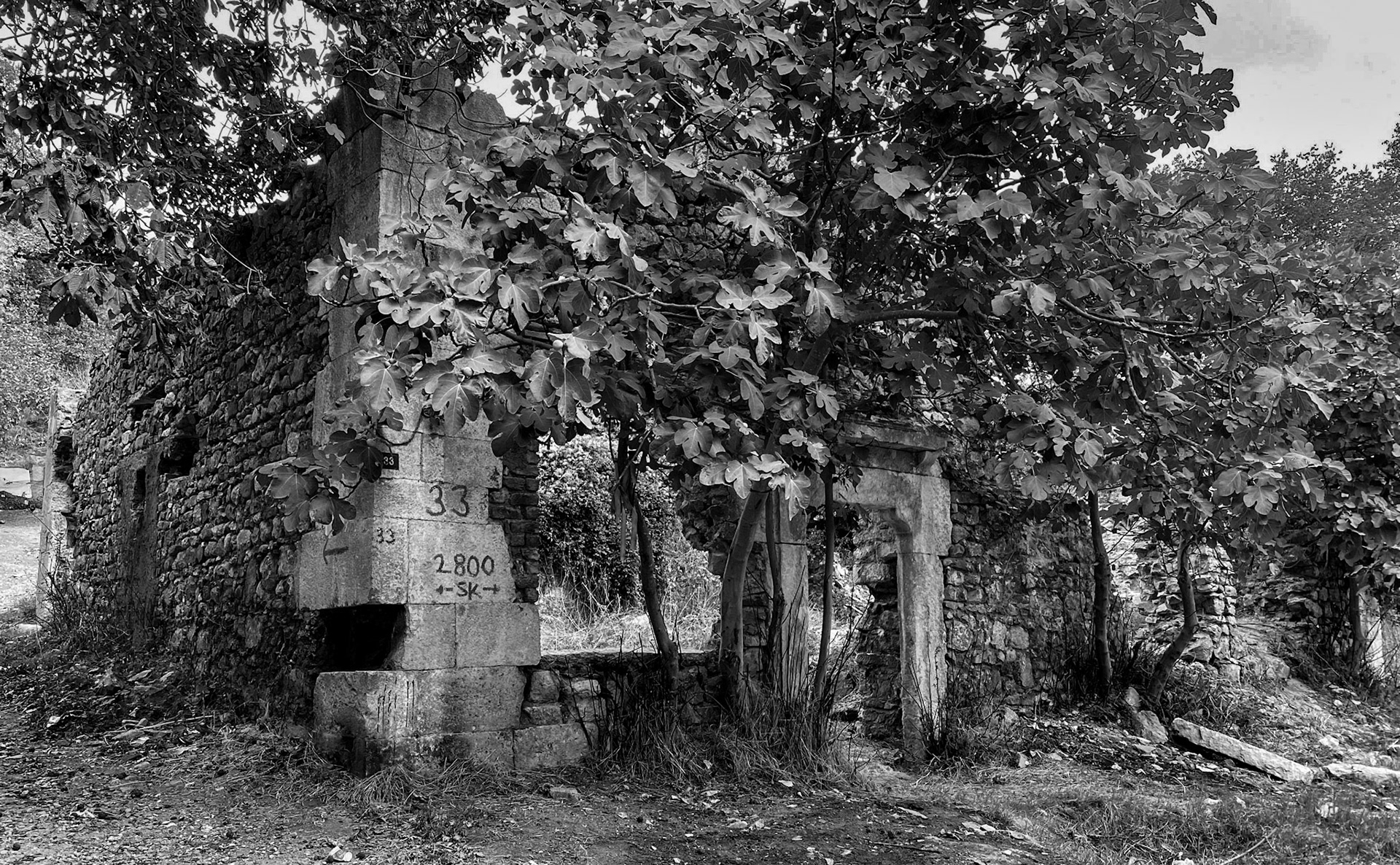 Cebeci: ruined Greek orthodox church