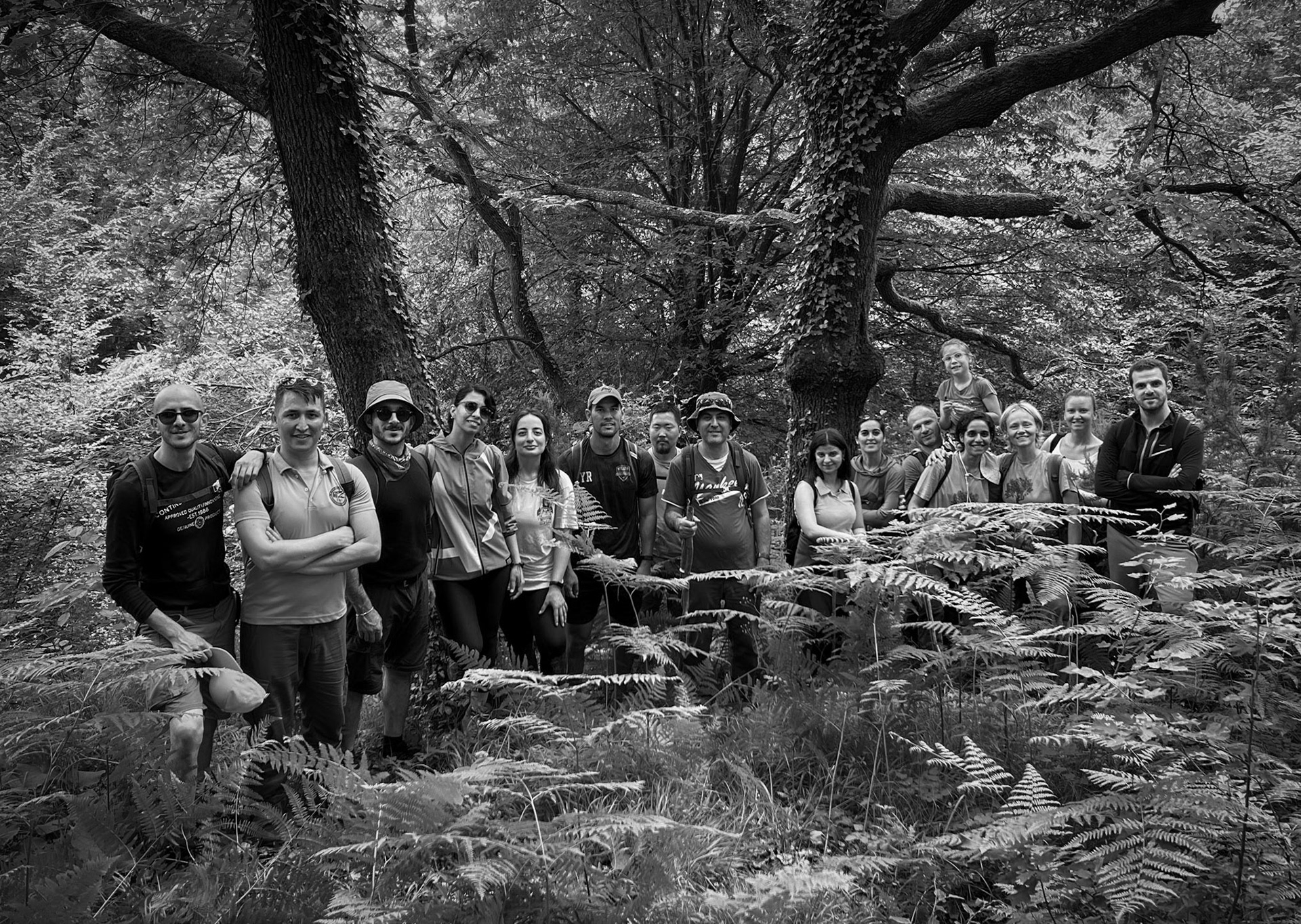 Mahmut Şevket Paşa W hill: today's group