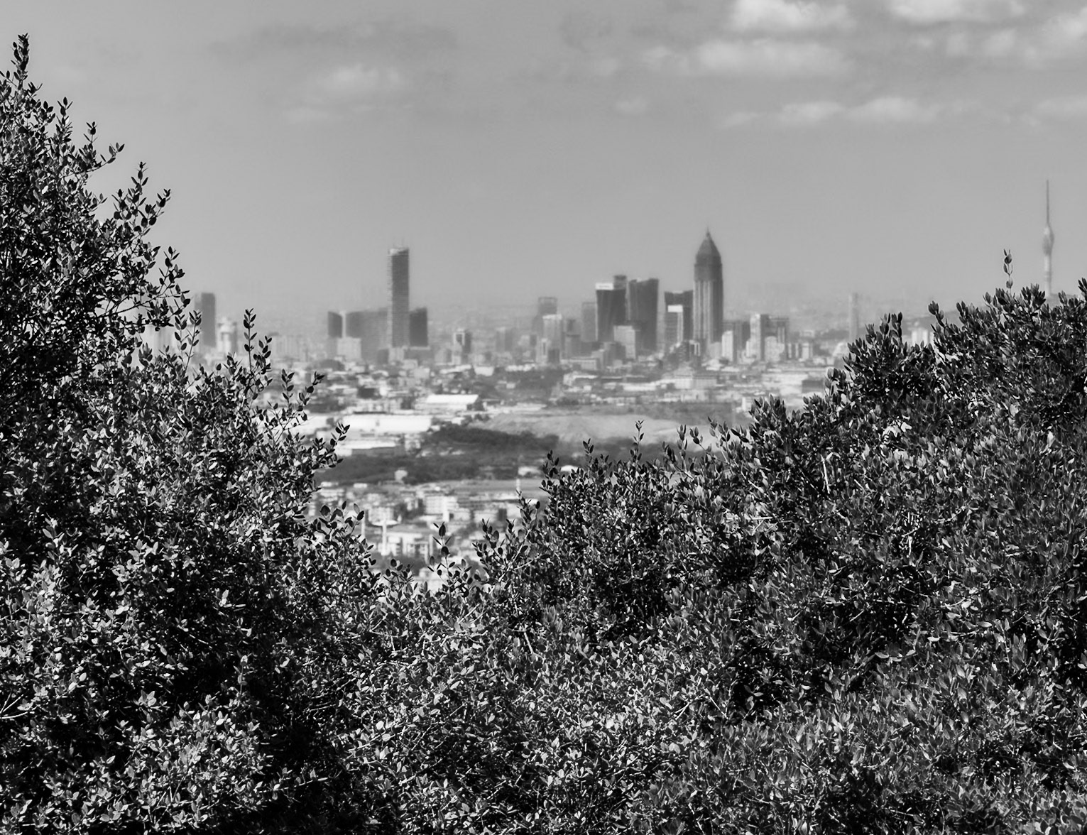 Zirve hills and viewpoints: the city through the trees