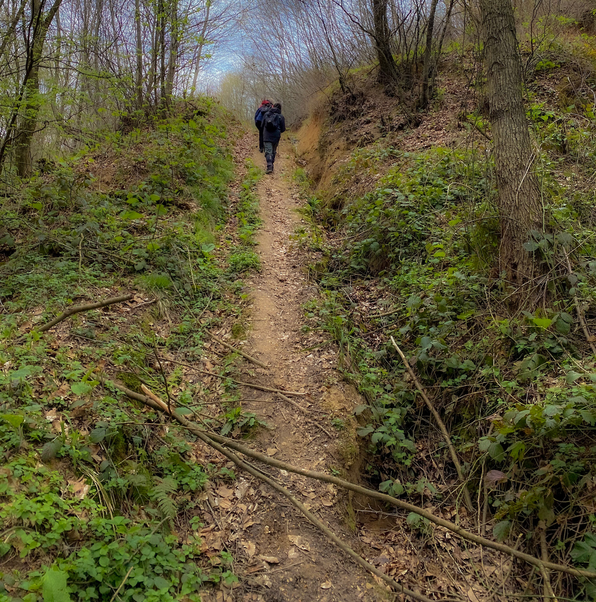 Kozlu stream valley: heading up a path