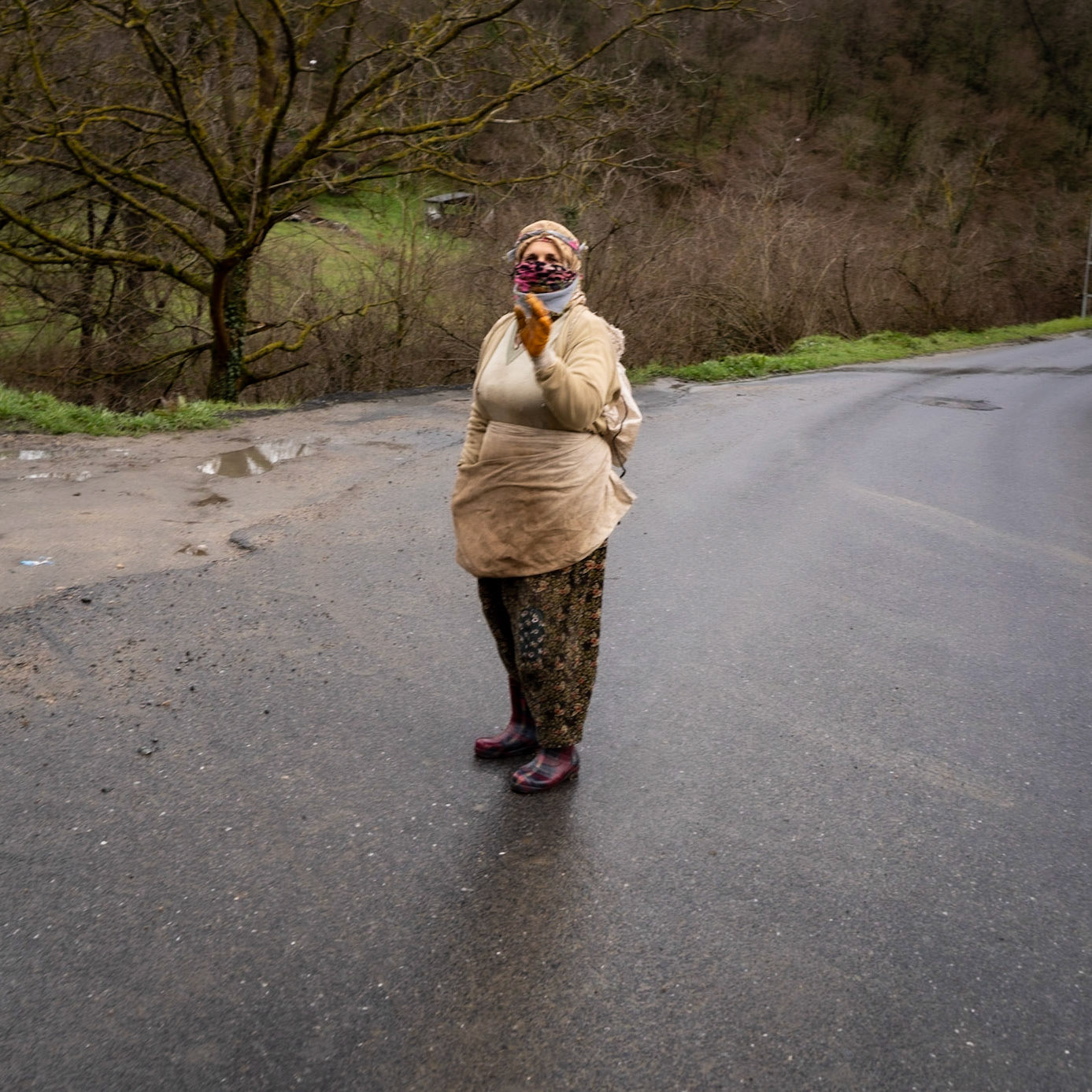 Çavuşbaşı forests: a herb-collecting village woman