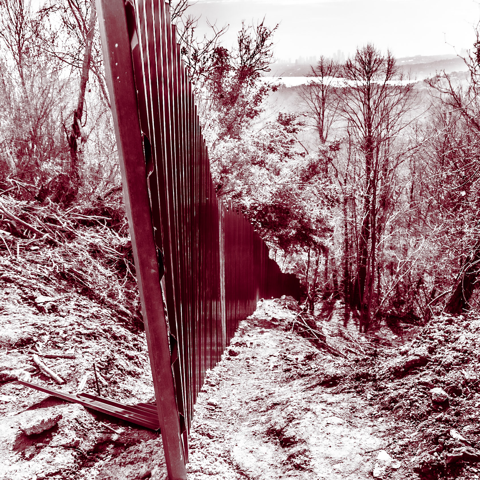 Kaymakdonduran woods: western fence