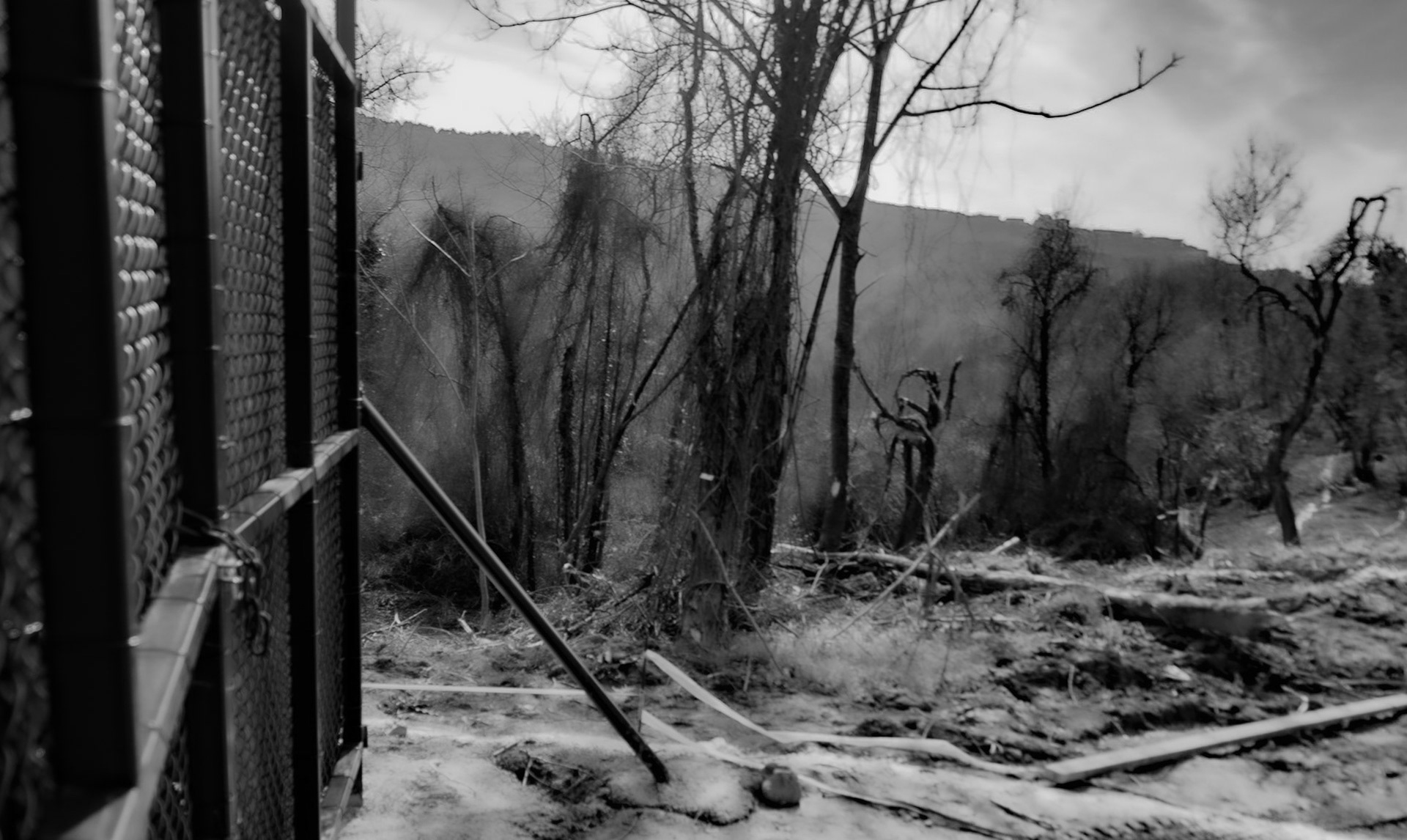 Kirazlı woods: the northern perimeter fence and gate