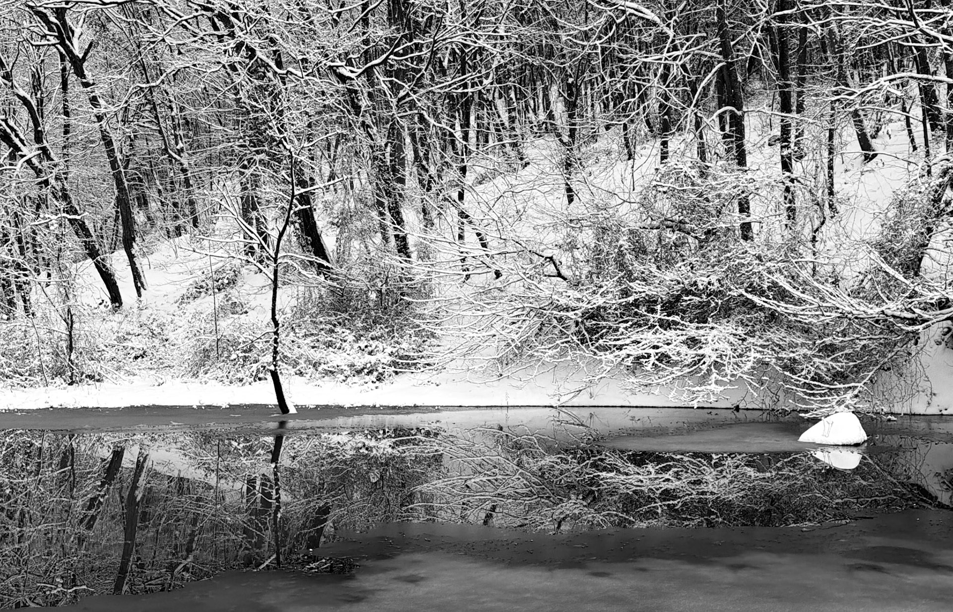 Valide Sultan reservoir: reflections, ice, trees and snow