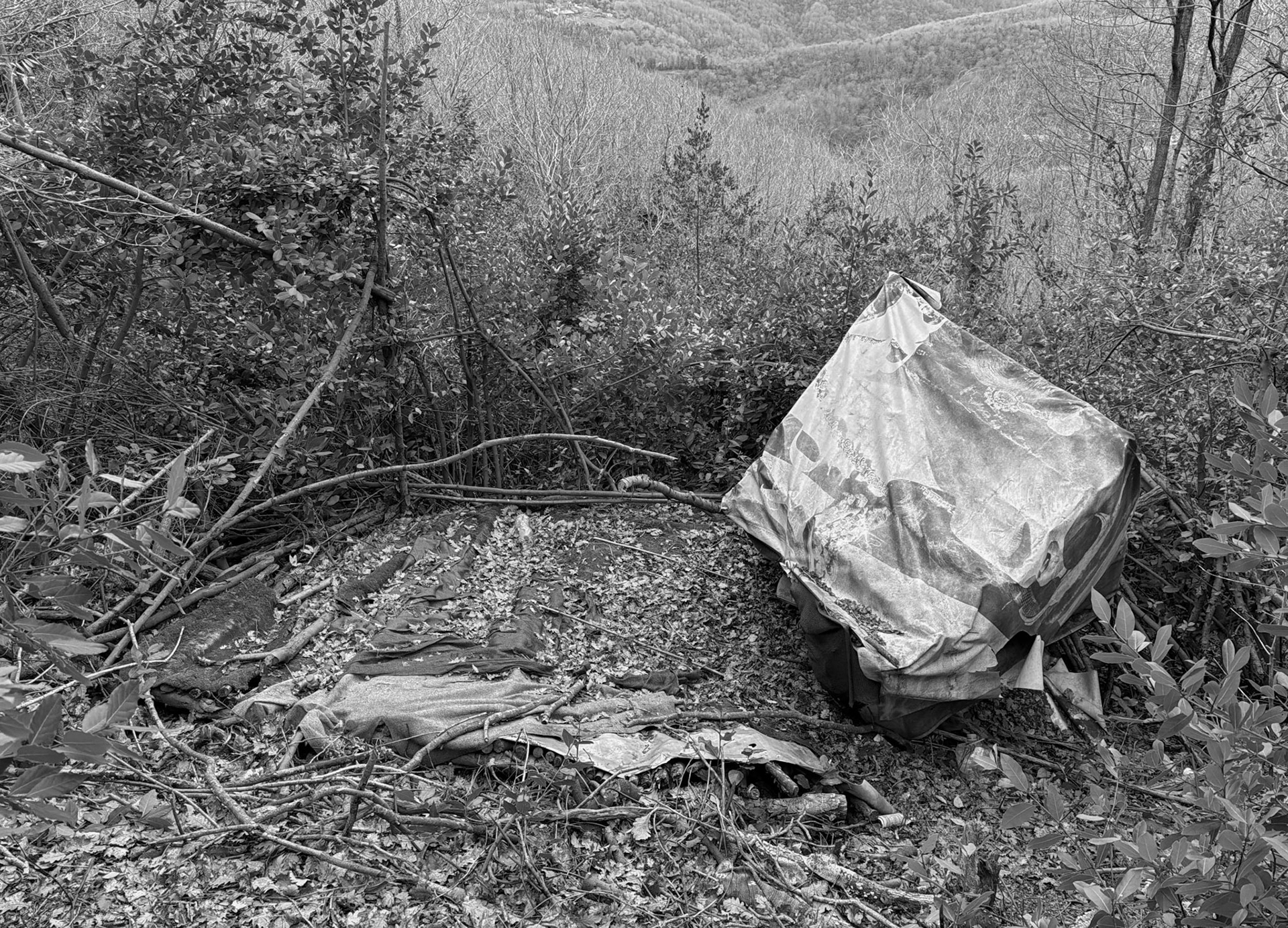 Dereseki forest traverse: a fallen-down hide
