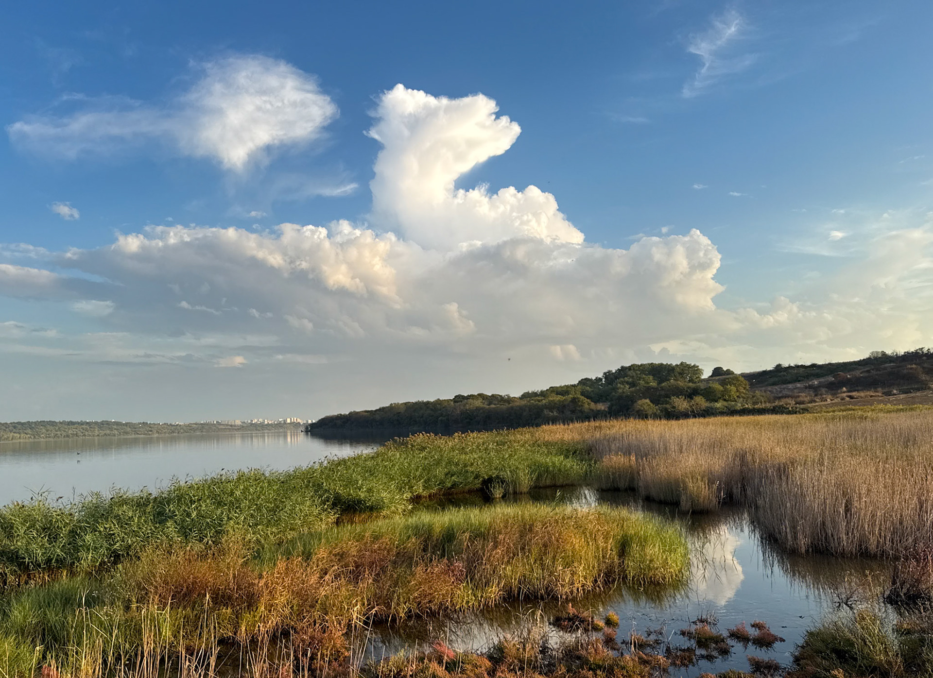 Küçükçekmece northwestern marsh: view south