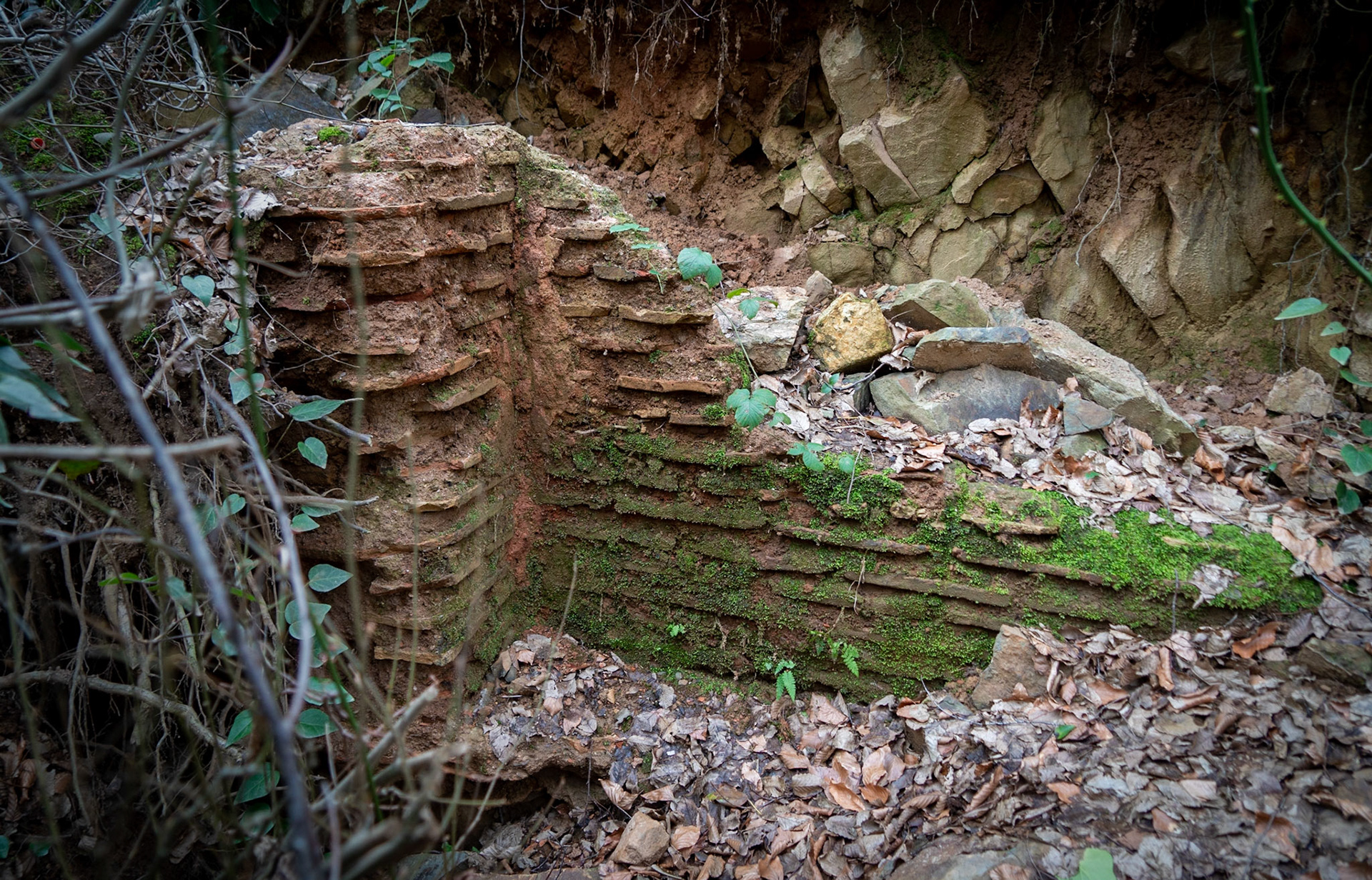 Alemdaǧ forest: masonry revealed by treasure hunters