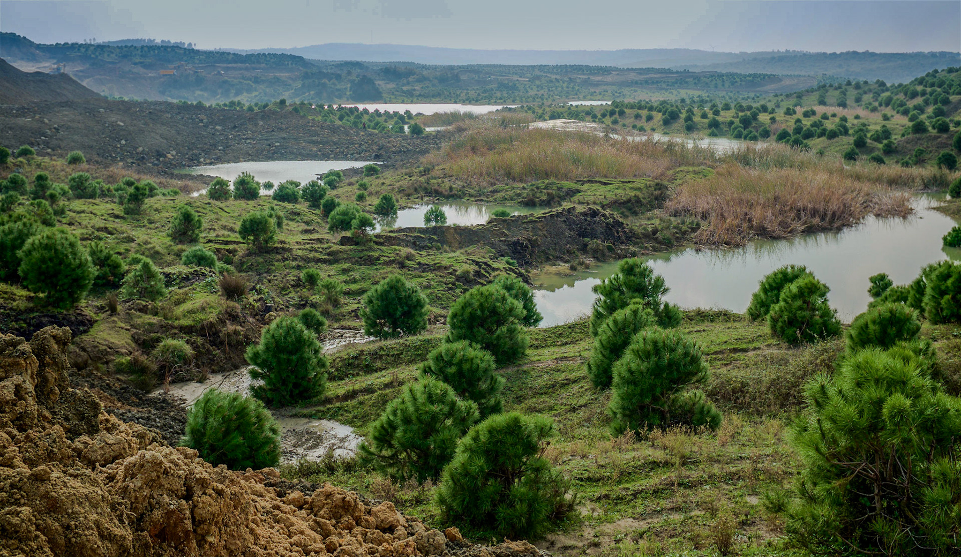 Yeniköy: abandoned opencast mine-workings and ponds (now lost under Istanbul Airport)