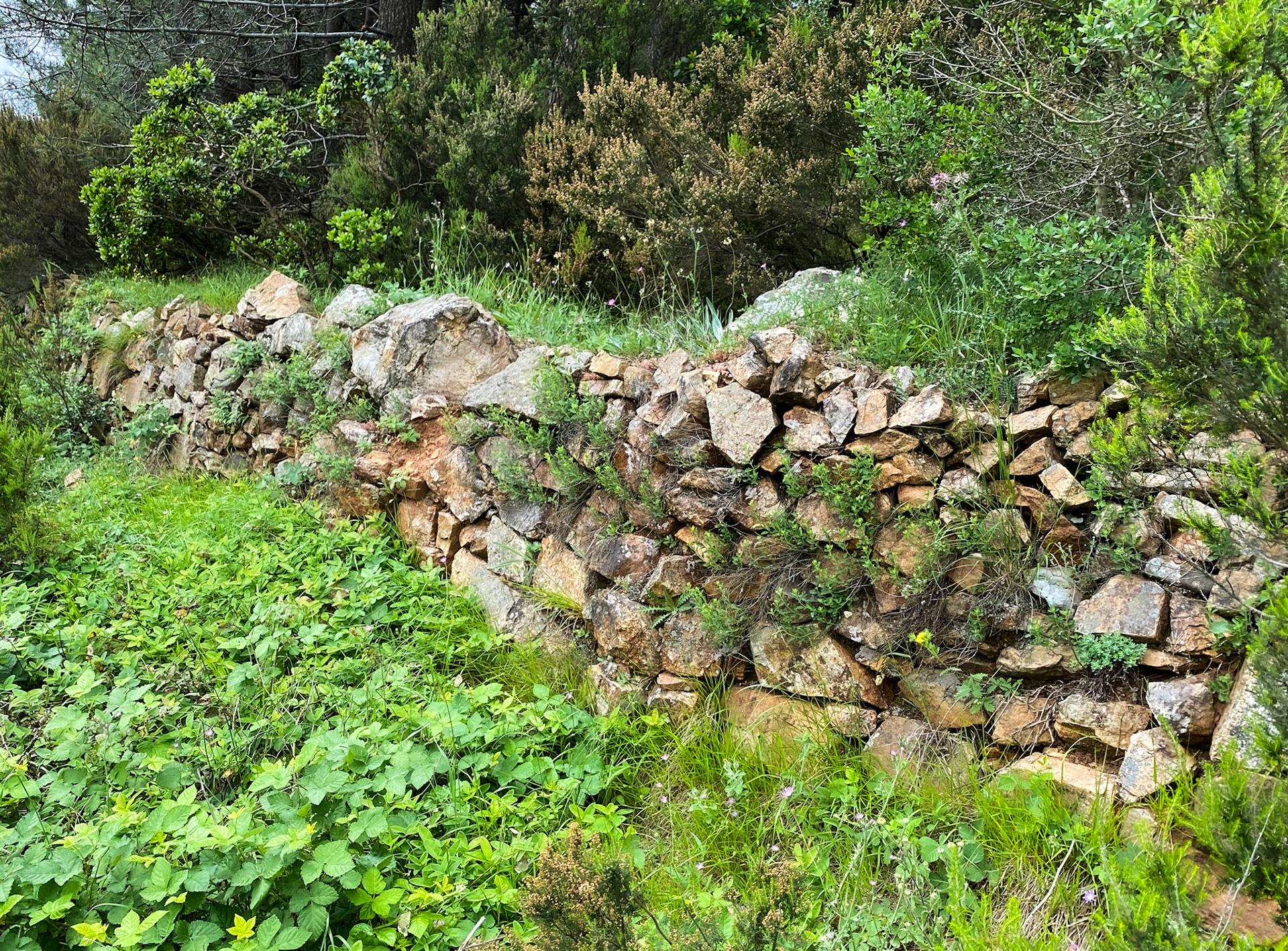 Adadaǧ hills: old stone wall