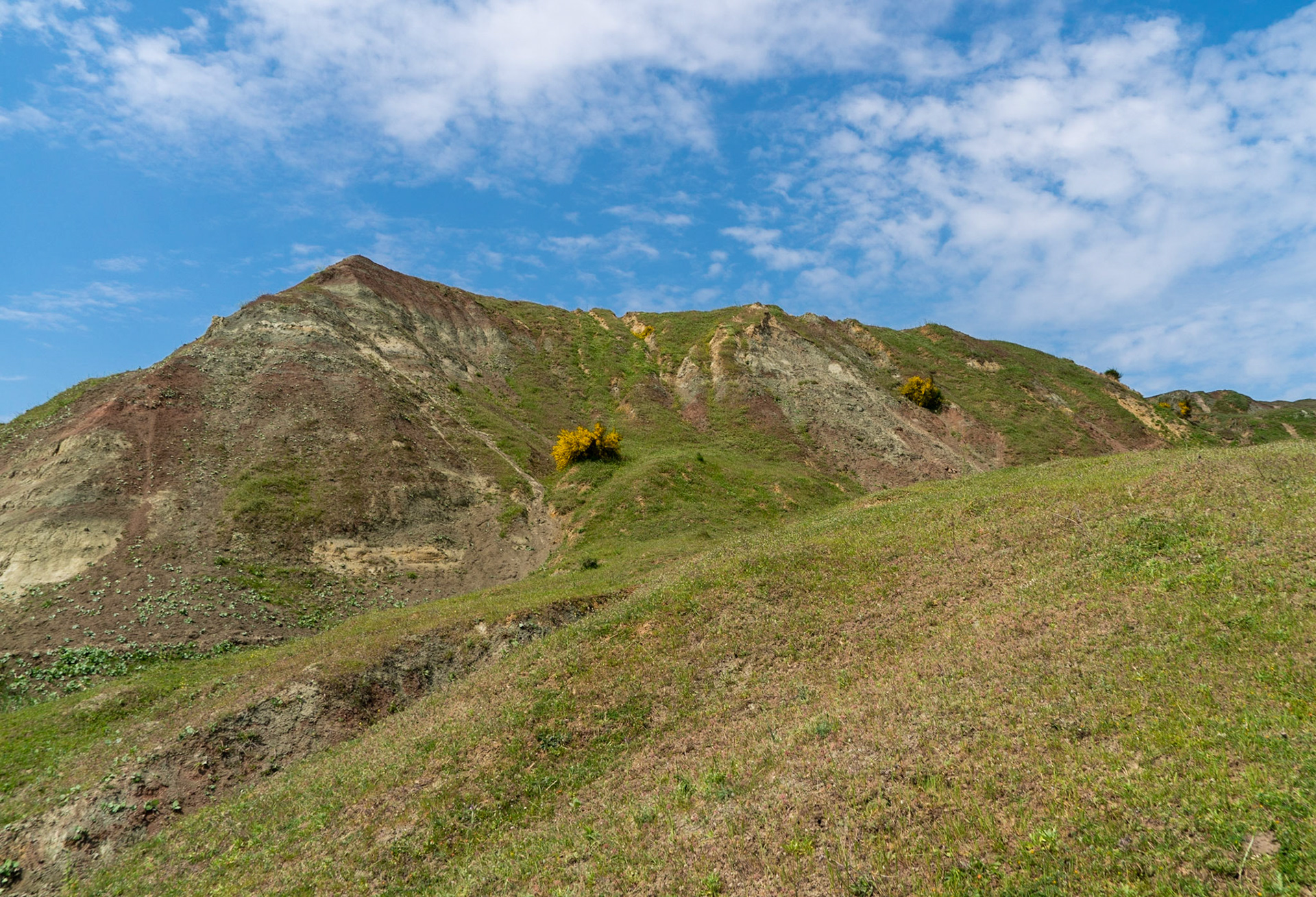 Yeniköy: abandoned mining land