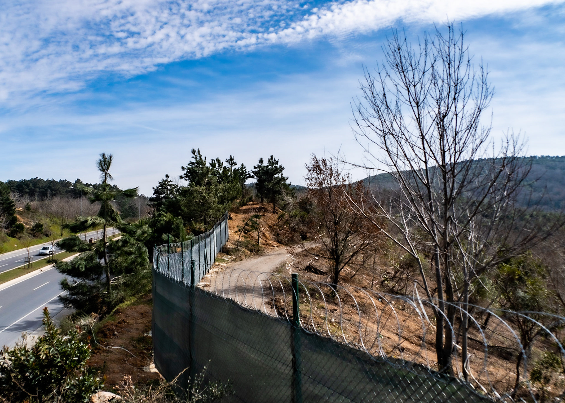 Kirazlı woods: the northern perimeter fence