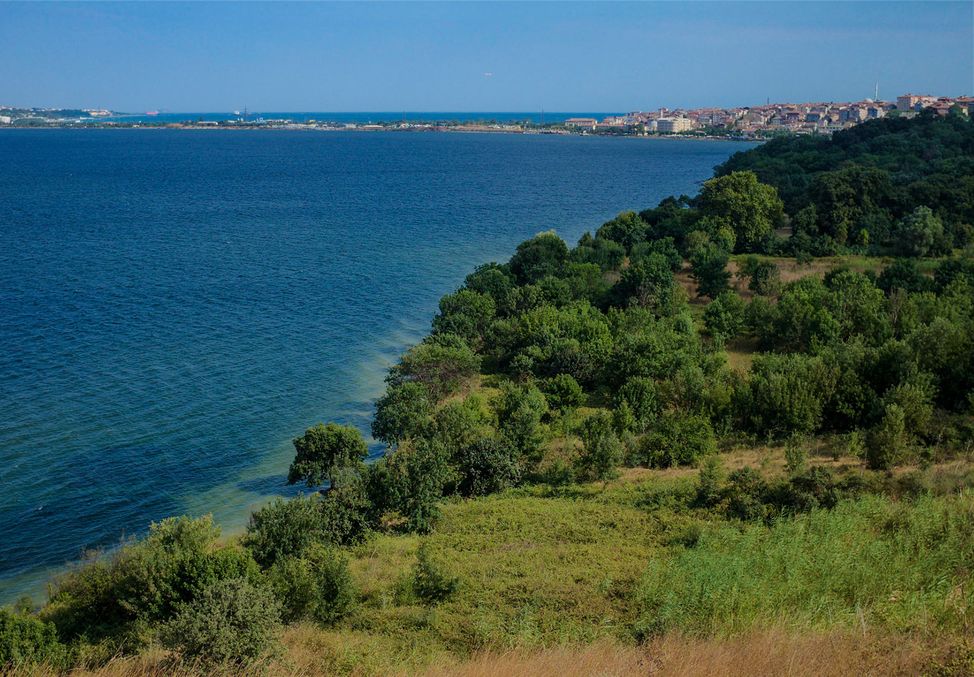 on the western edge of Küçükçekmece lake inside Istanbul University's agricultural faculty land: Avcılar causeway in the background and the Sea of Marmara beyond