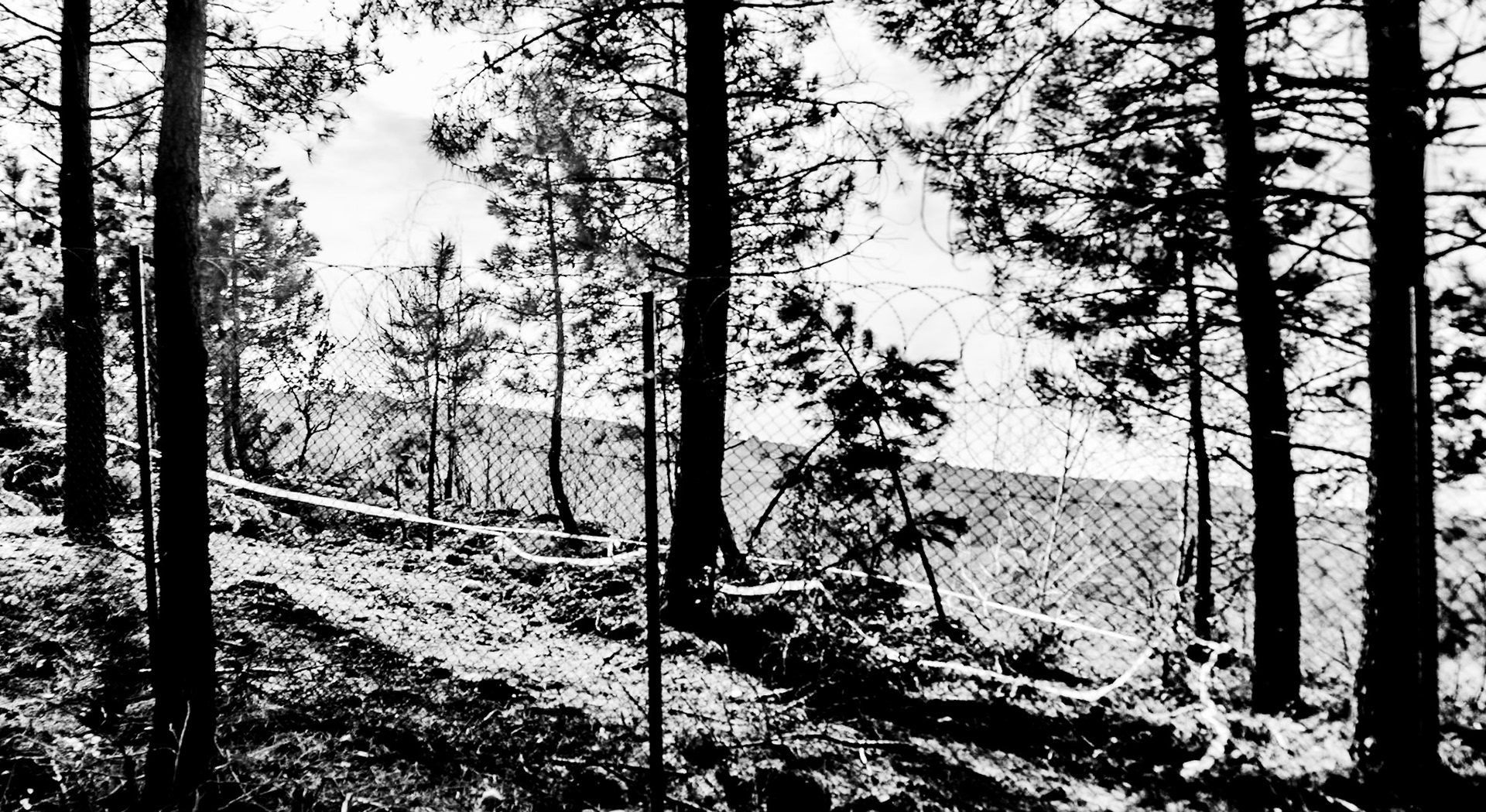 Kirazlı woods: the northern perimeter fence