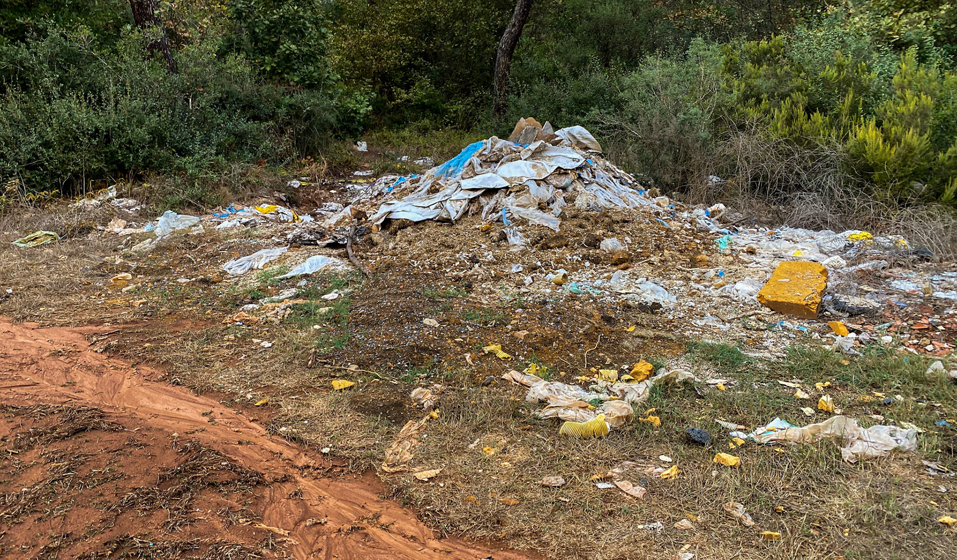 between Kurna and Karatay: forest dump