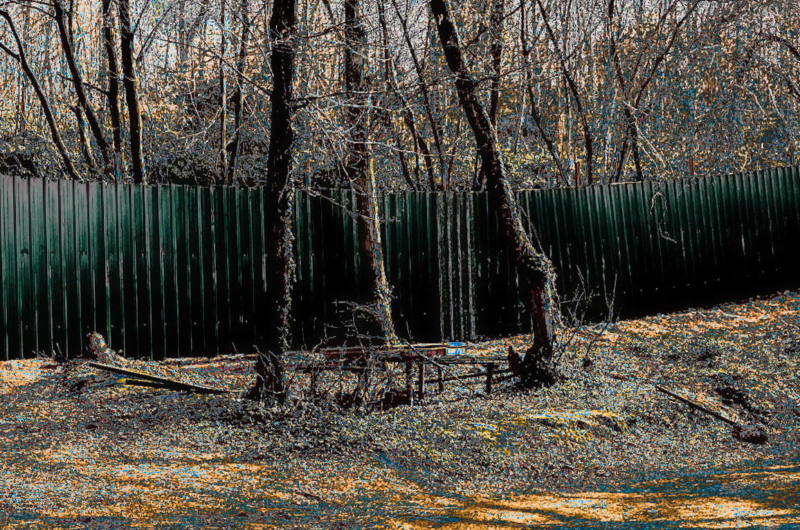 Kaymakdonduran woods: the western fence