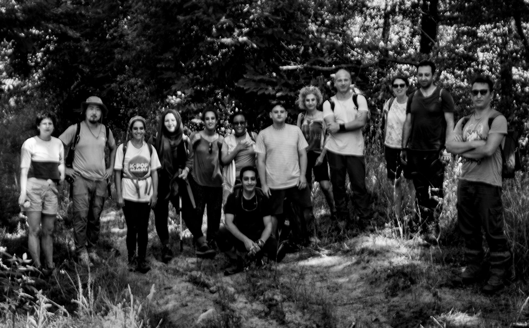 Deǧirmen forest: us