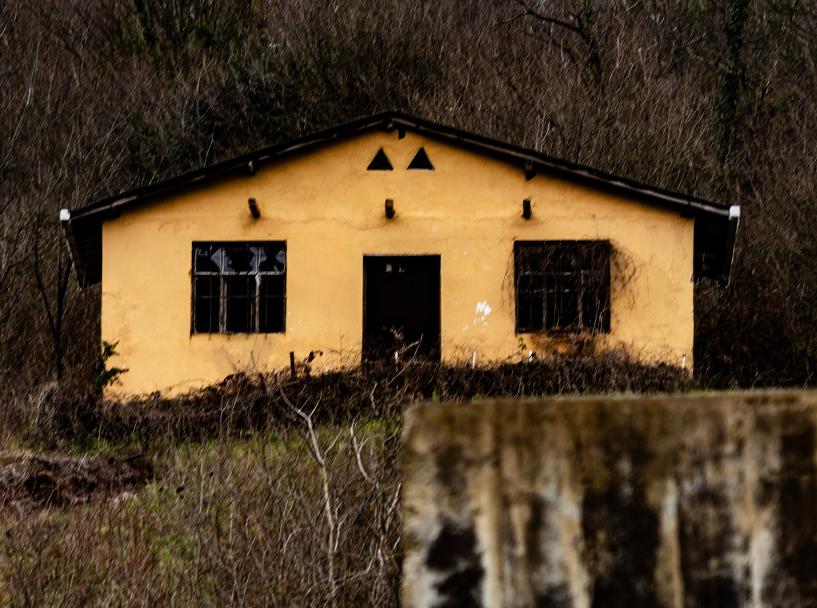 Dereiçi valley: empty hut