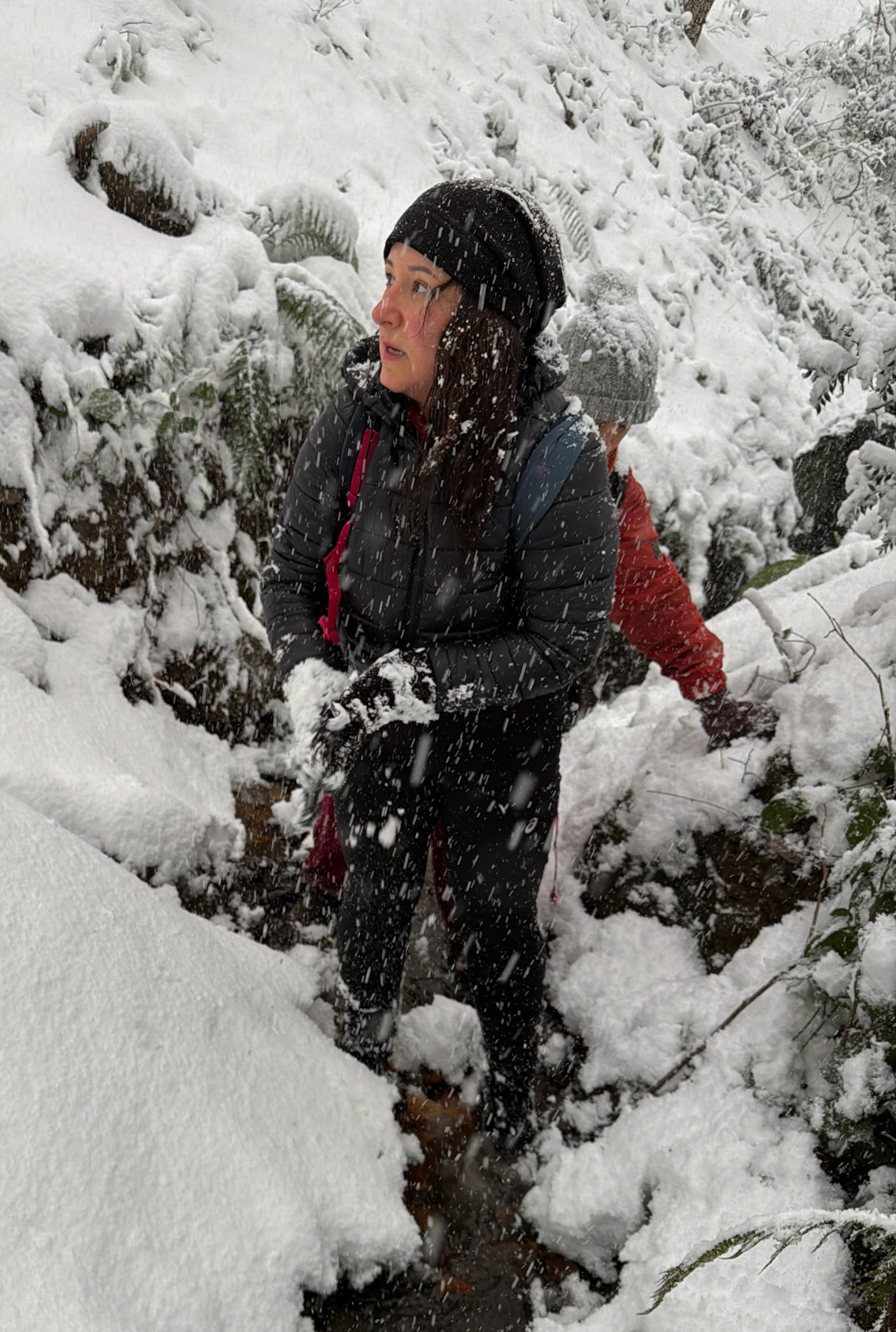 NW Zekeriyaköy streamwalk: it's snowing!